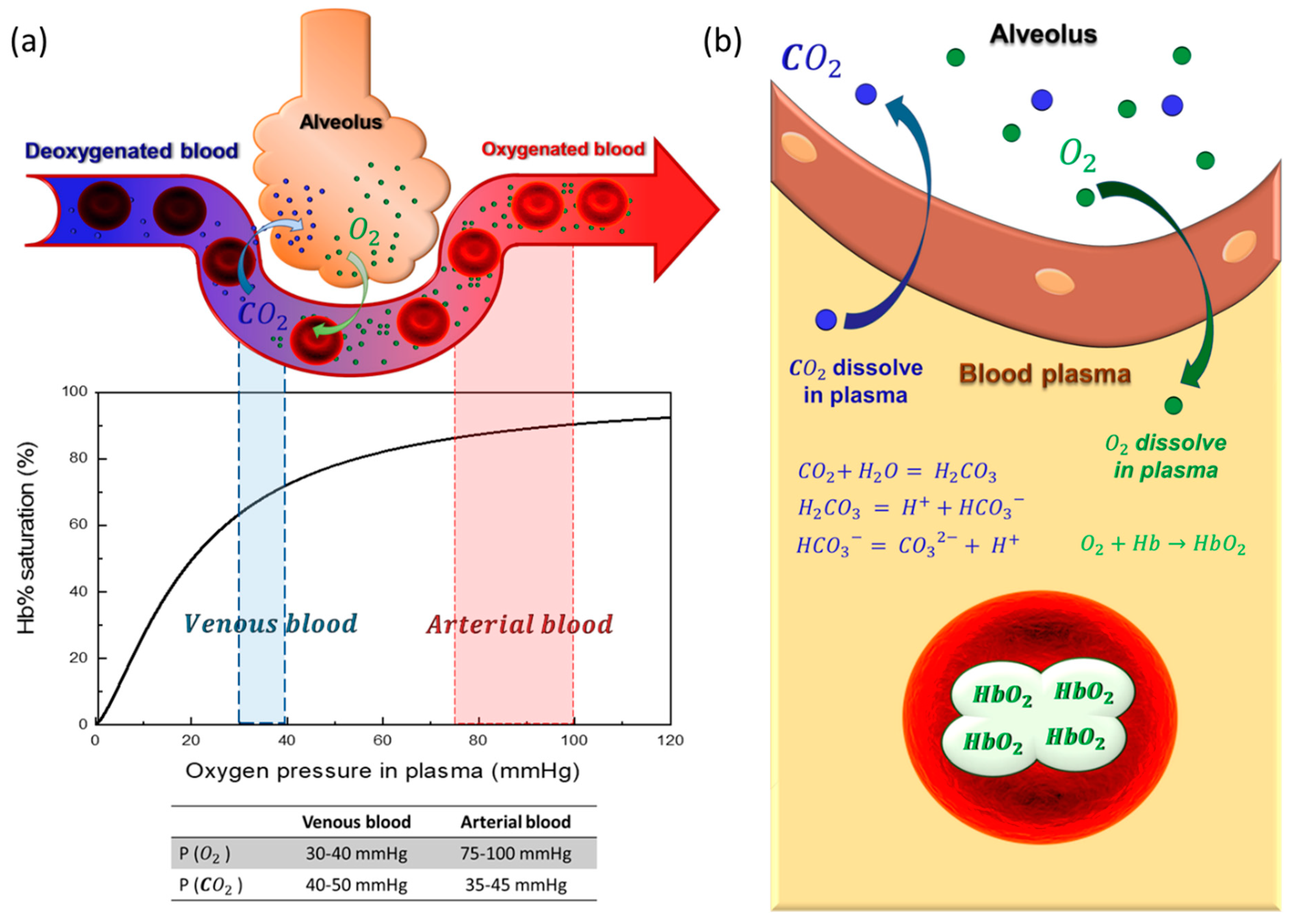 Membranes 11 00239 g003