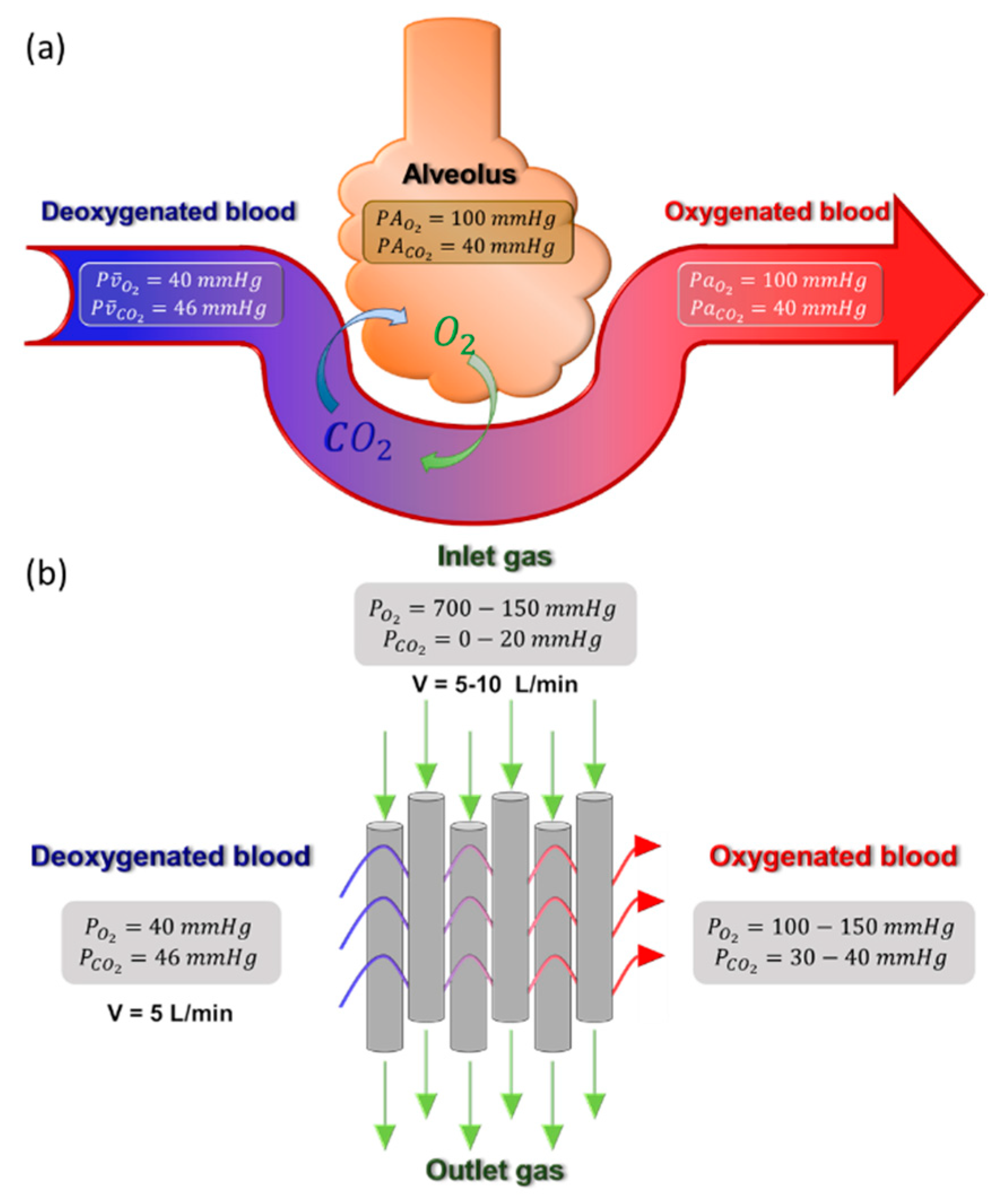 Membranes 11 00239 g004