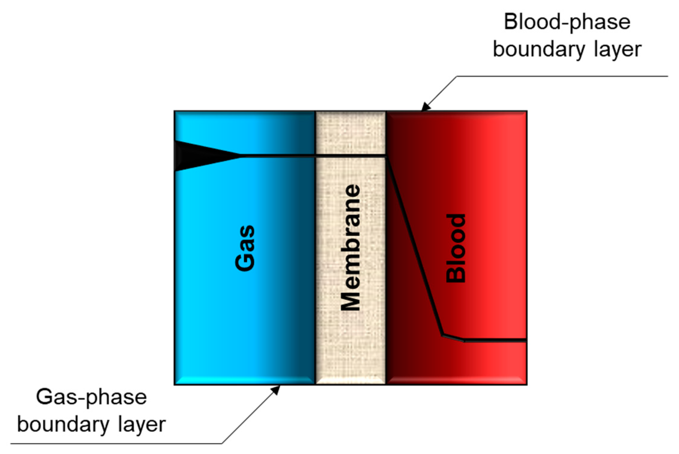 Membranes 11 00239 g005