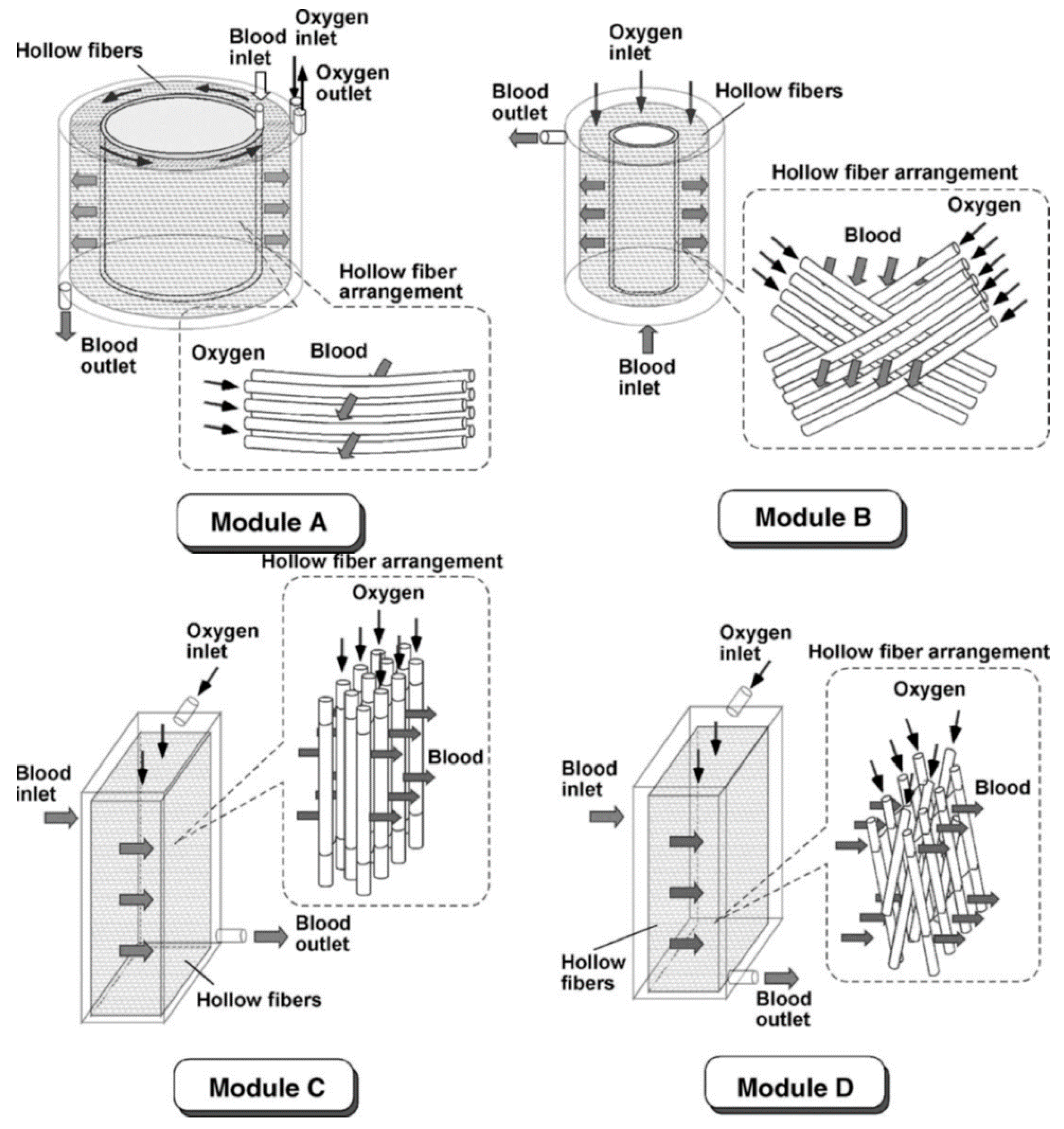 Membranes 11 00239 g006