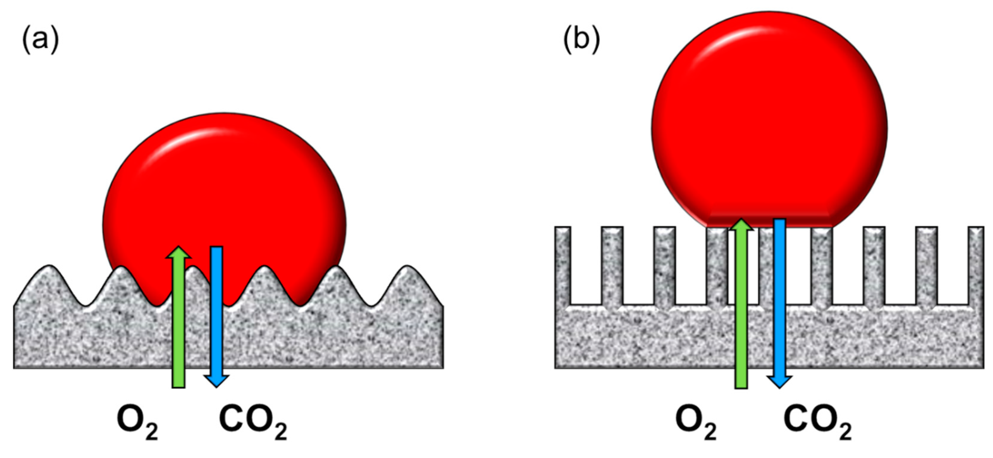 Membranes 11 00239 g009