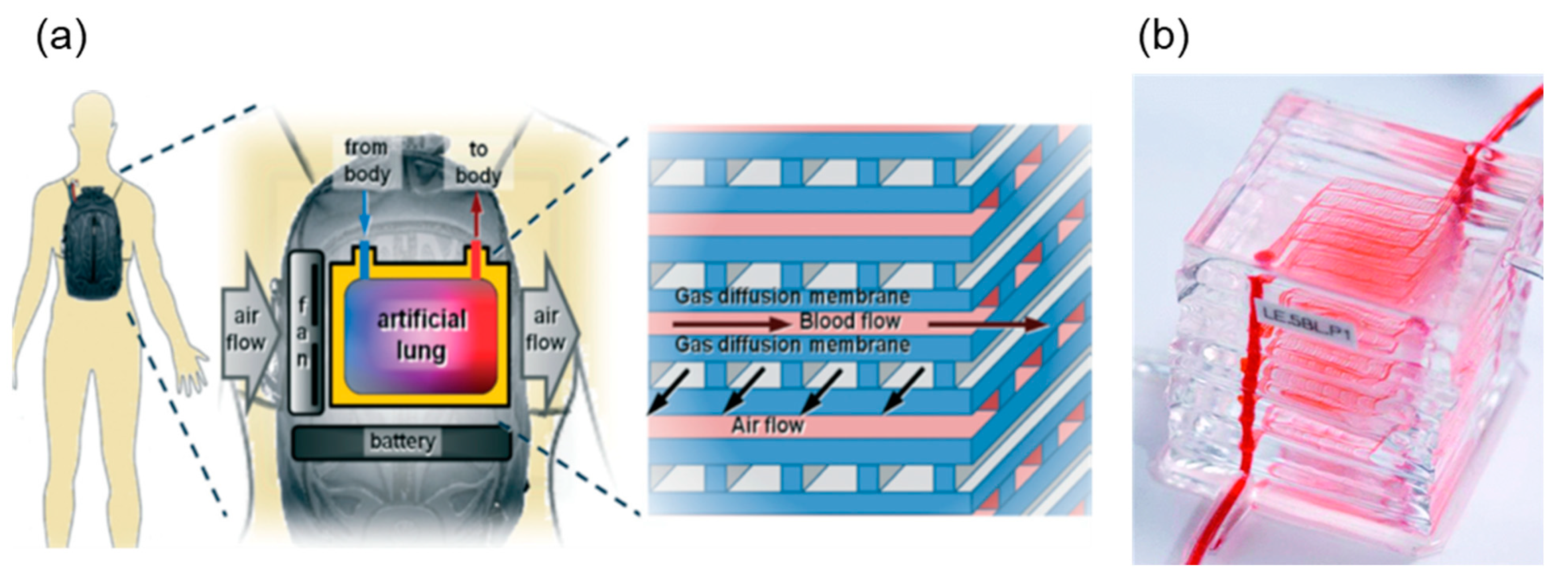Membranes 11 00239 g010