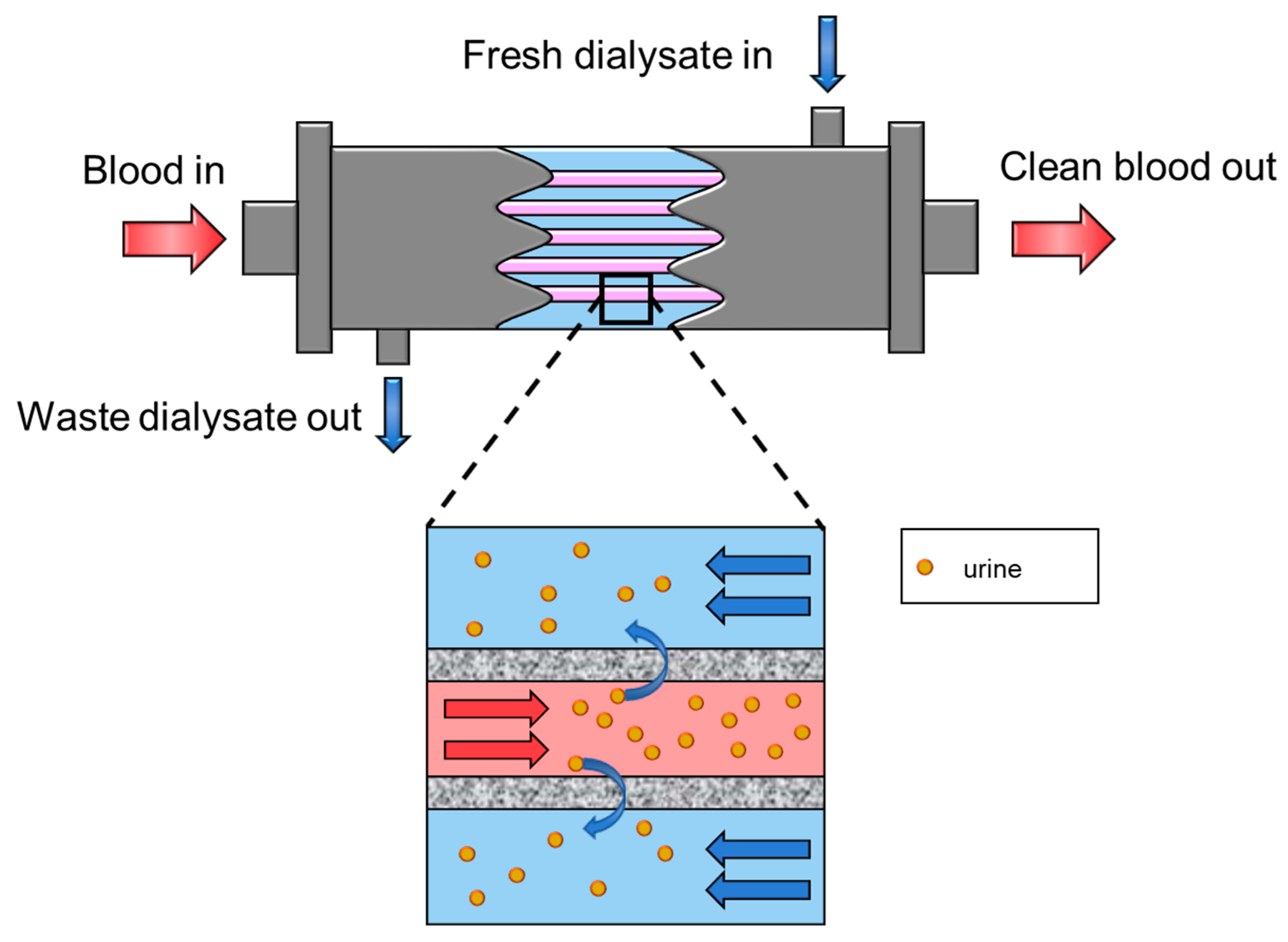 Membranes 11 00239 g011