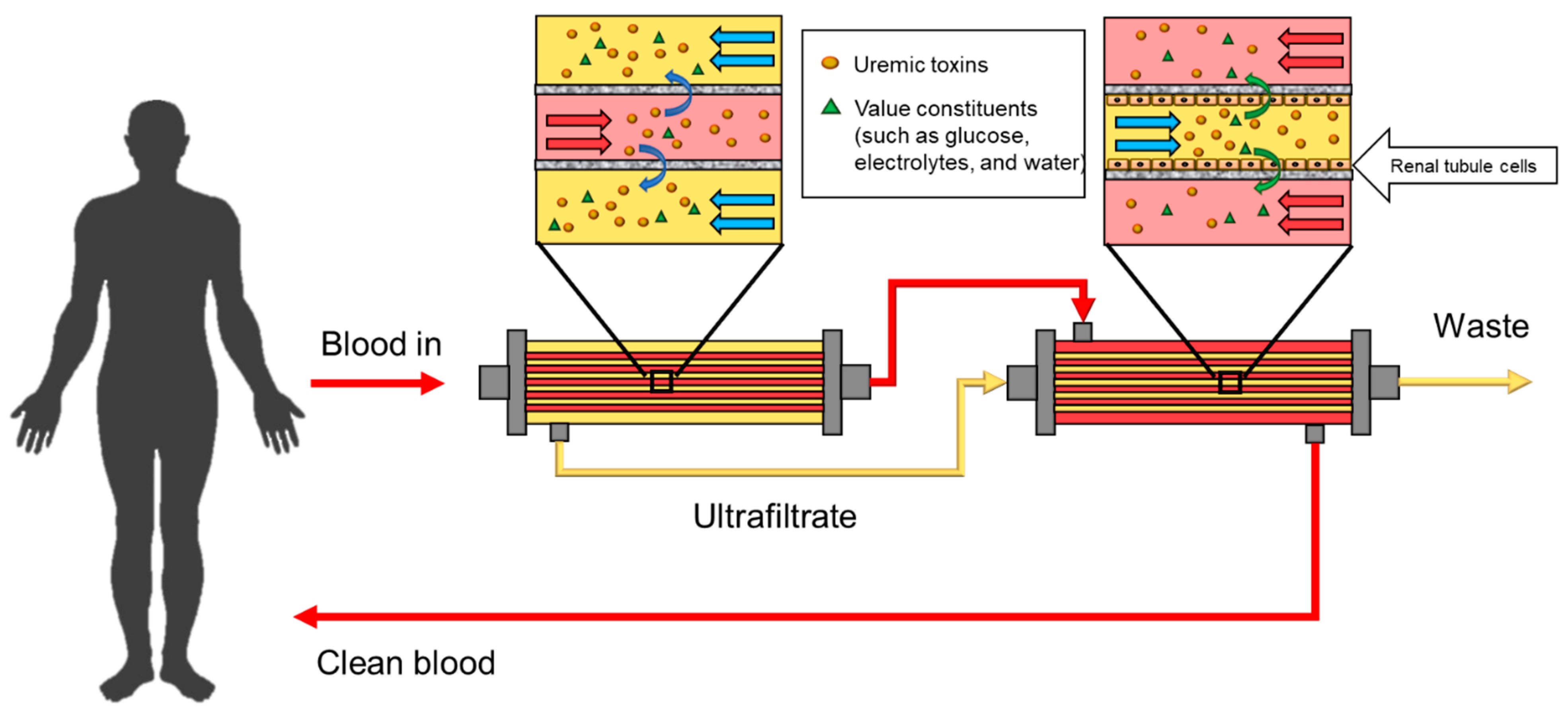 Membranes 11 00239 g013