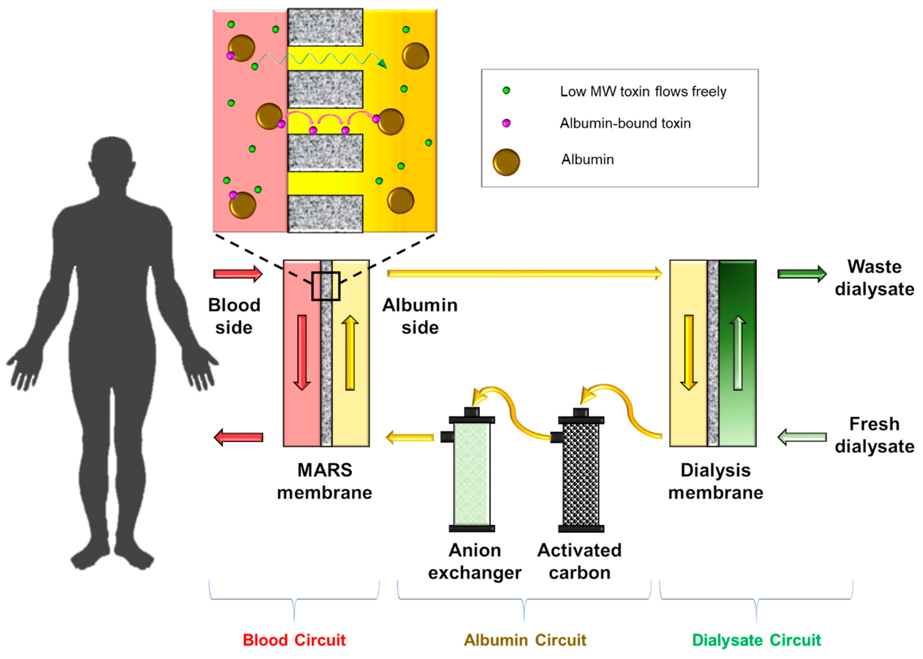 Membranes 11 00239 g014