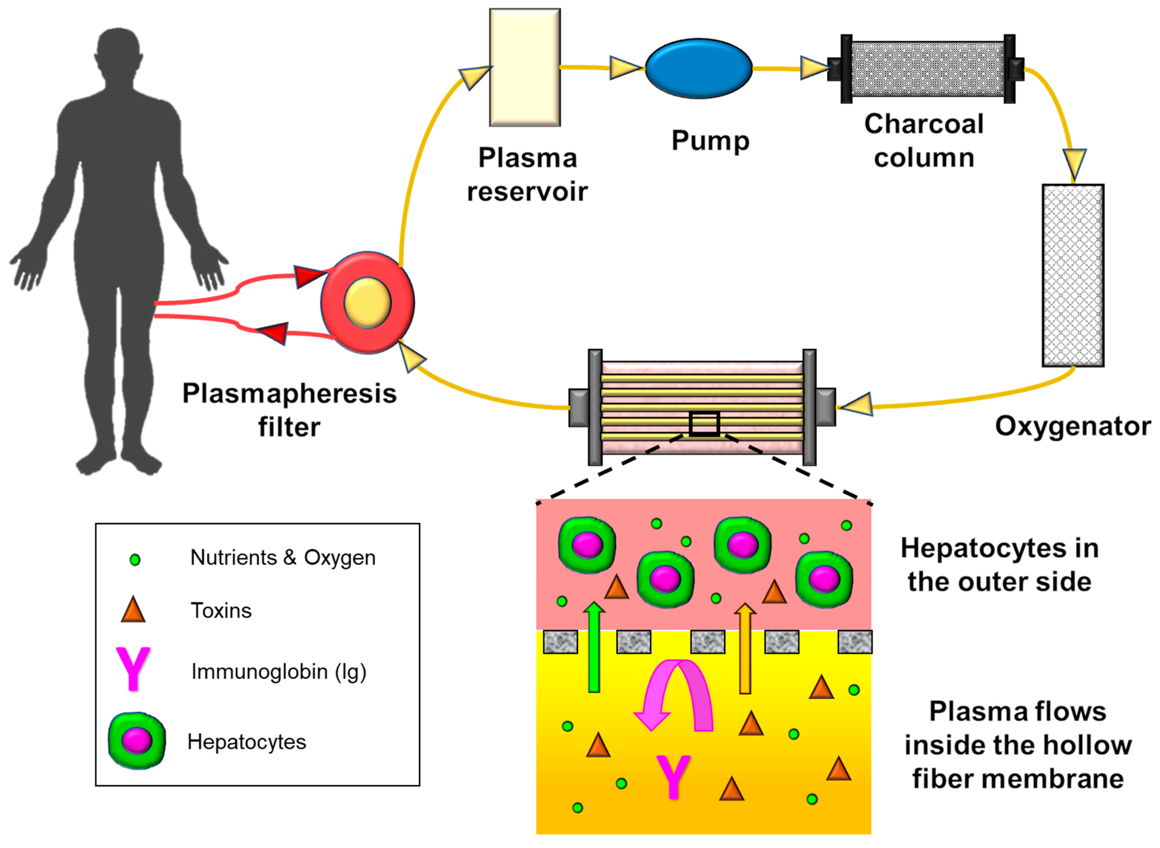 Membranes 11 00239 g015