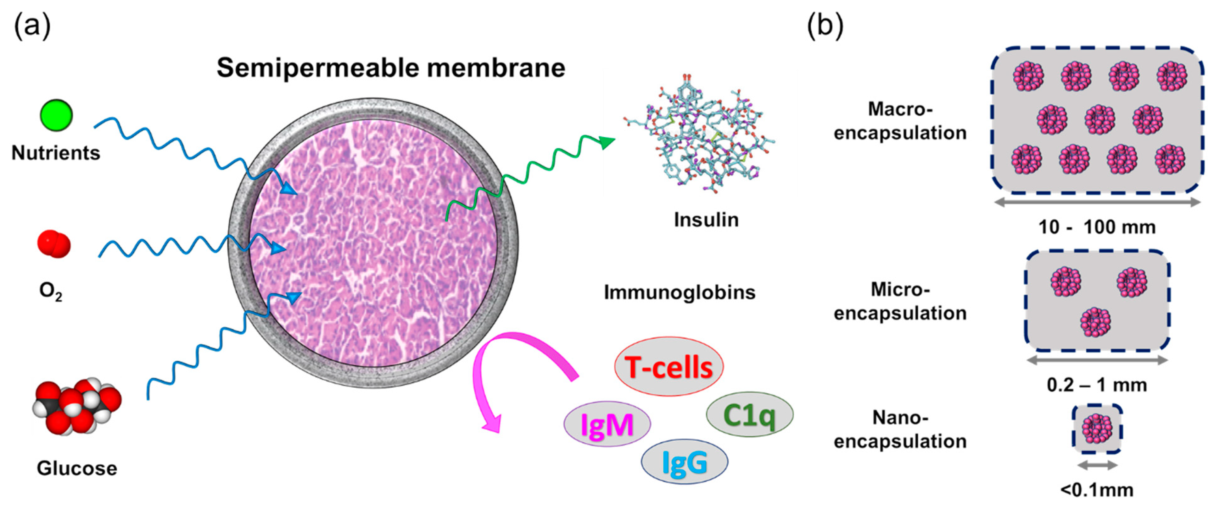 Membranes 11 00239 g016
