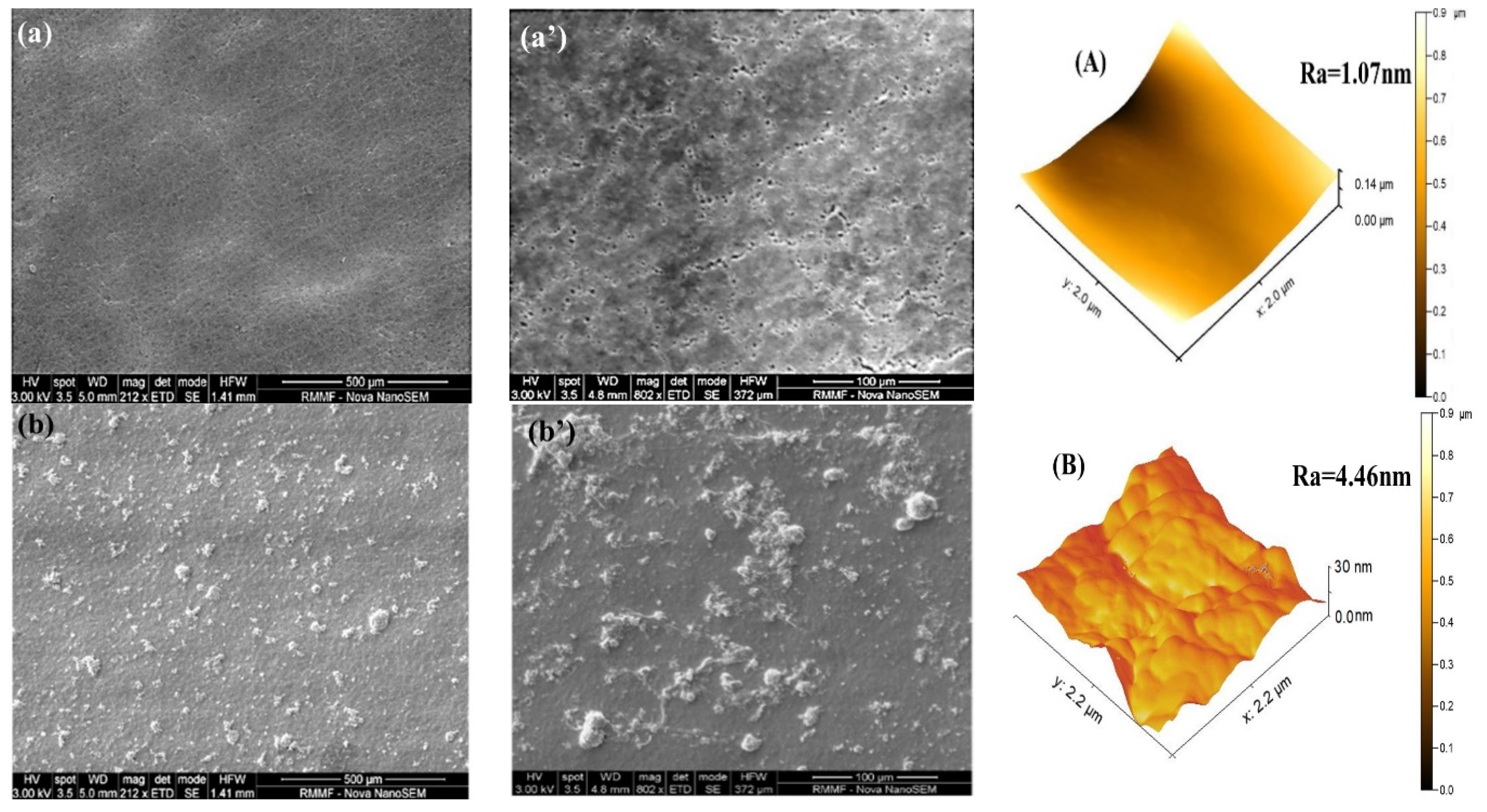 Membranes 11 00241 g003a Membranes 11 00241 g003a