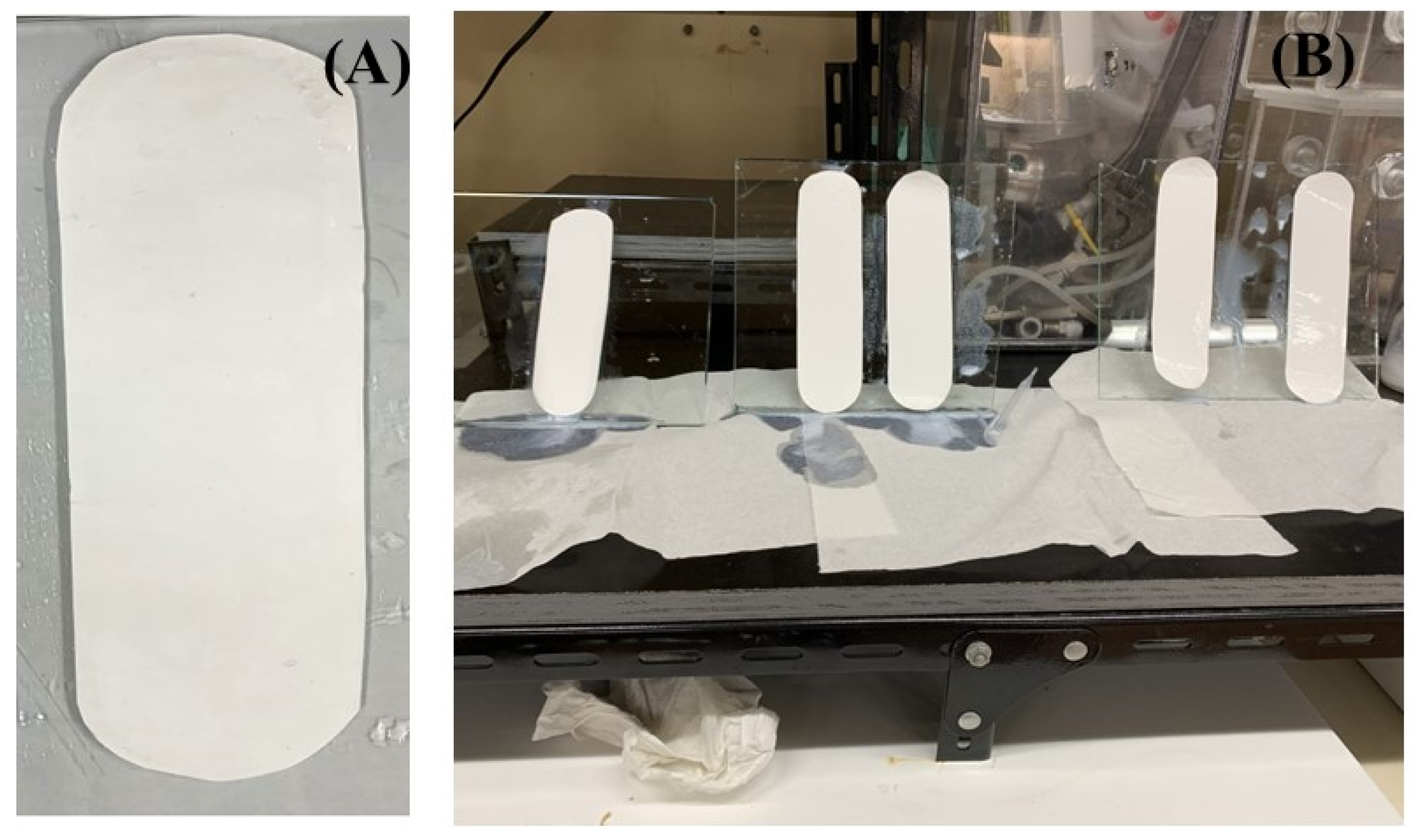 Membranes 11 00241 g0a1 Membranes 11 00241 g0a1