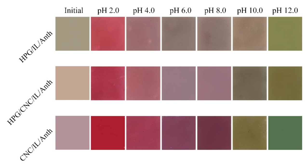 Membranes 11 00242 g003 Membranes 11 00242 g003