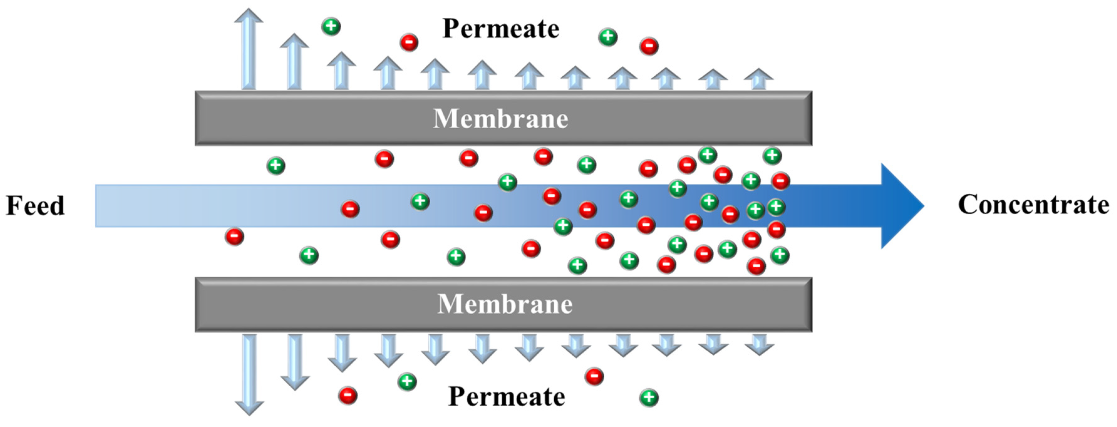 Membranes 11 00246 g001 Membranes 11 00246 g001