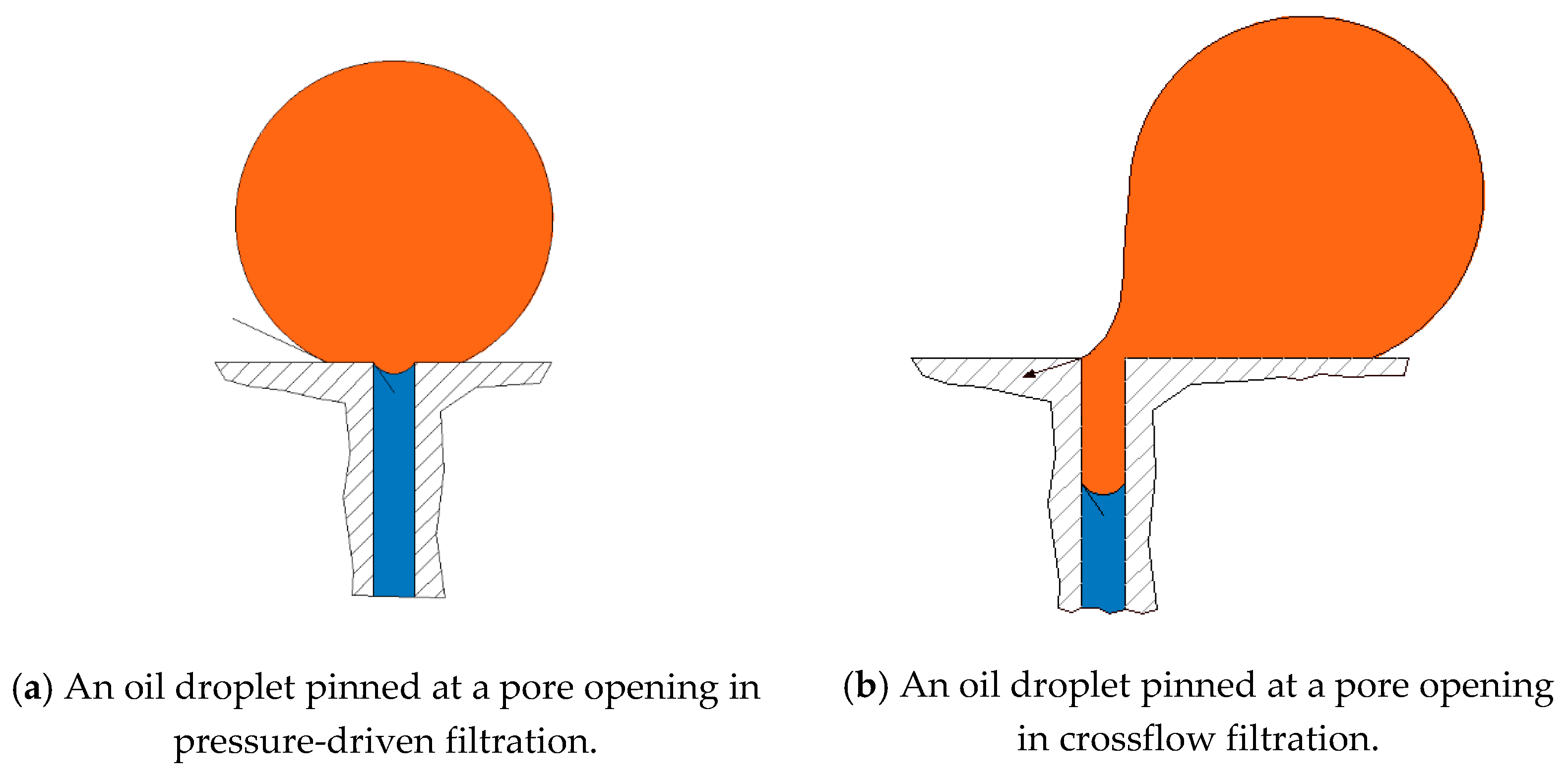 Membranes 11 00253 g003