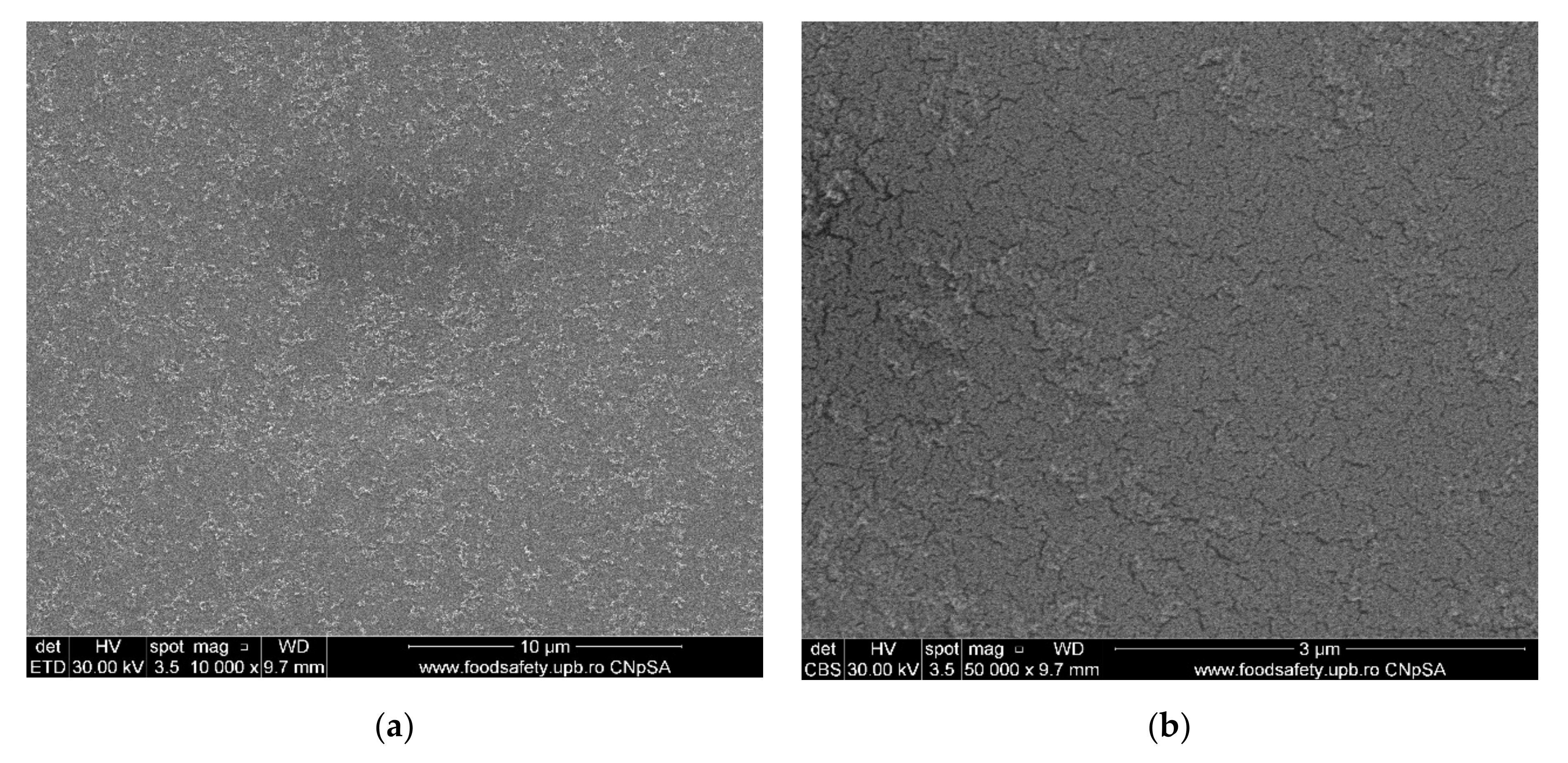 Membranes 11 00256 g006a Membranes 11 00256 g006a