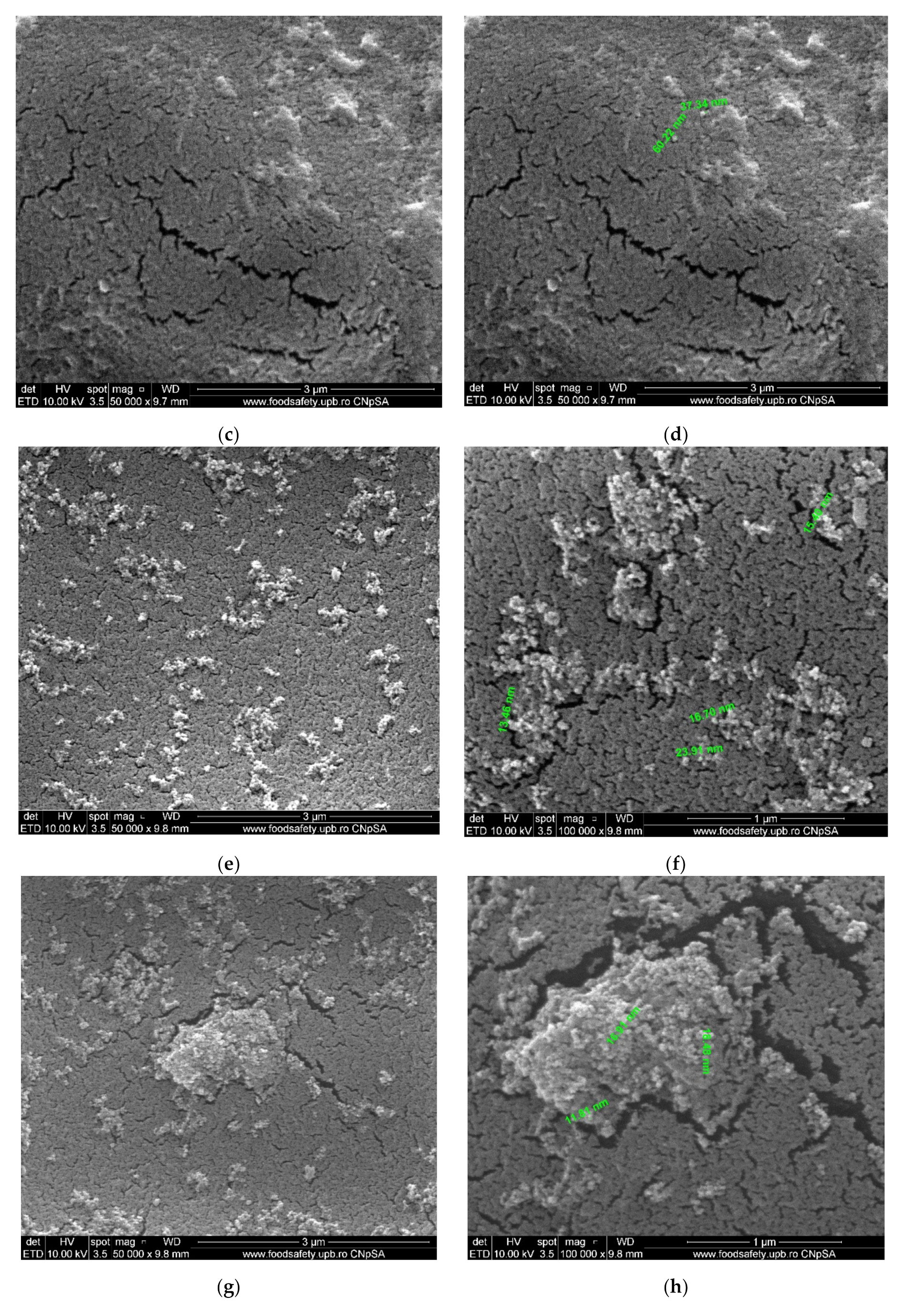 Membranes 11 00256 g006b Membranes 11 00256 g006b