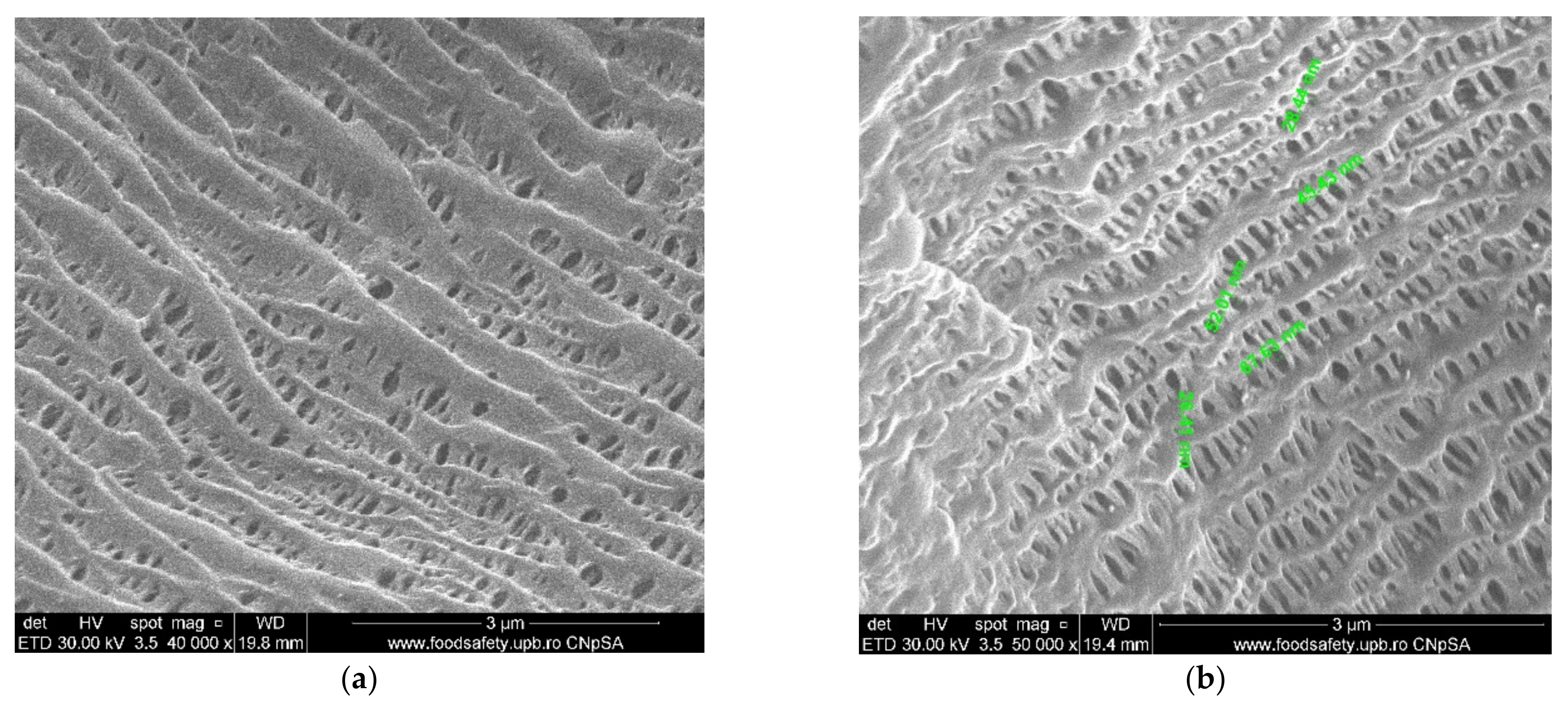 Membranes 11 00256 g007a Membranes 11 00256 g007a