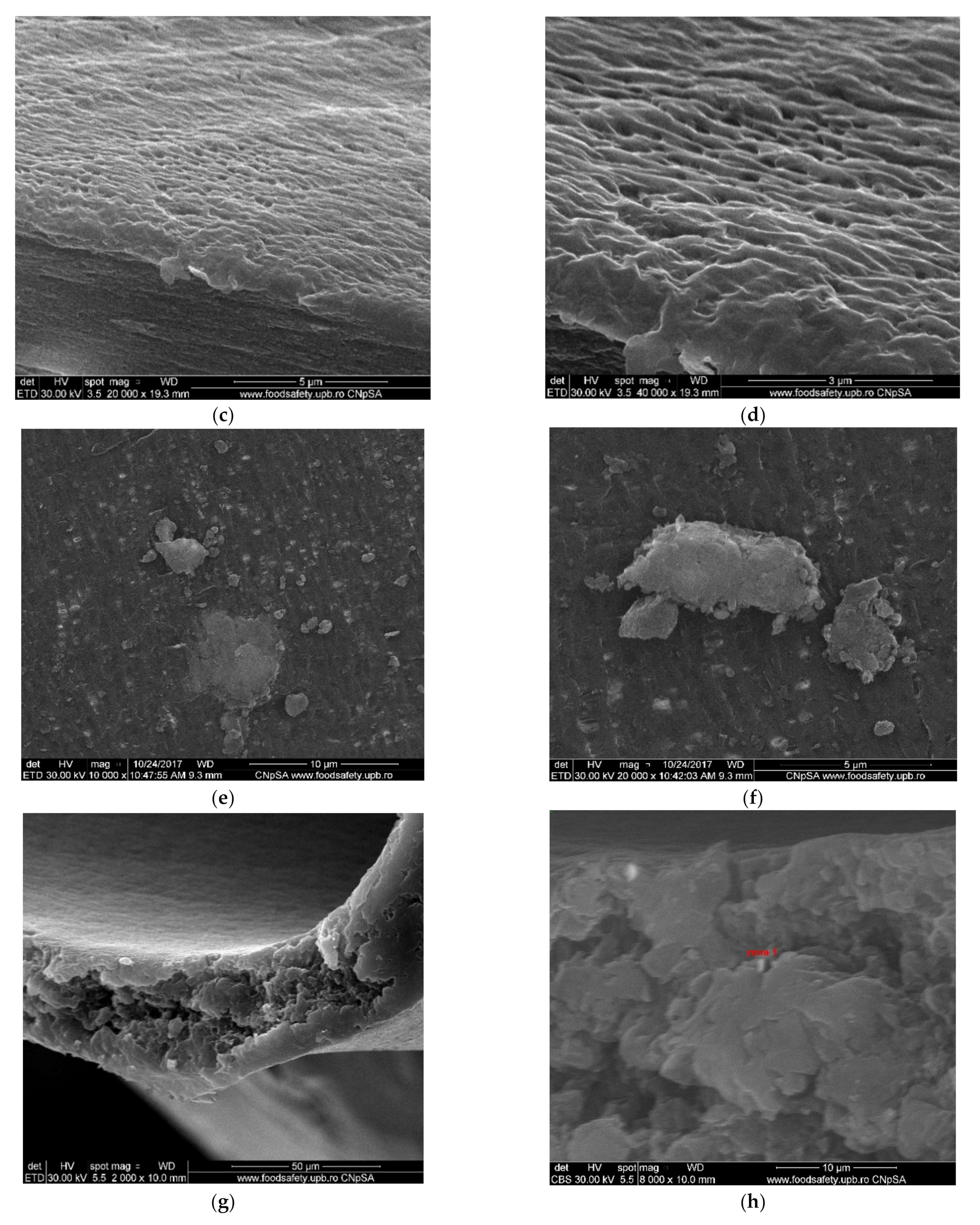 Membranes 11 00256 g007b Membranes 11 00256 g007b
