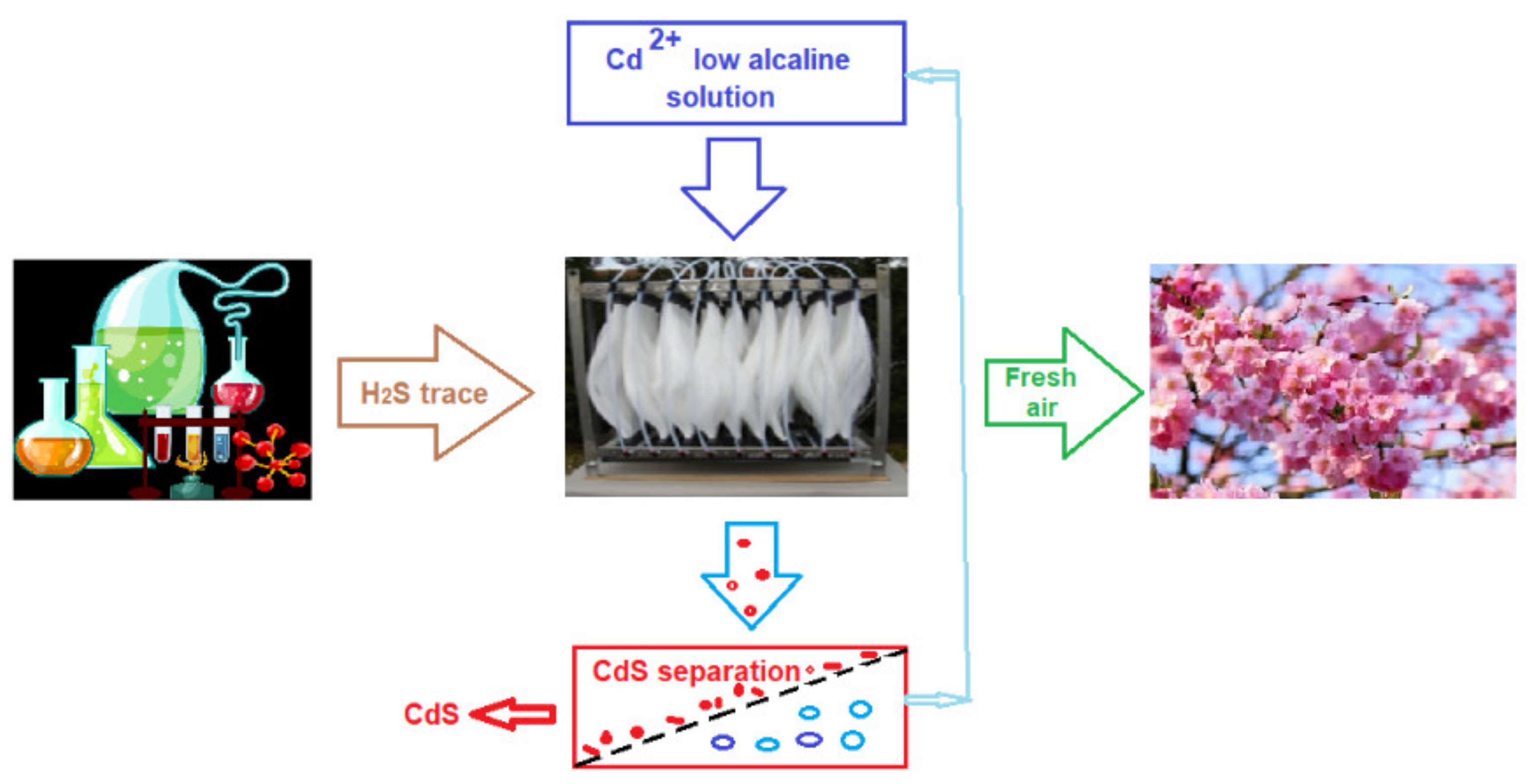 Membranes 11 00256 g019 Membranes 11 00256 g019