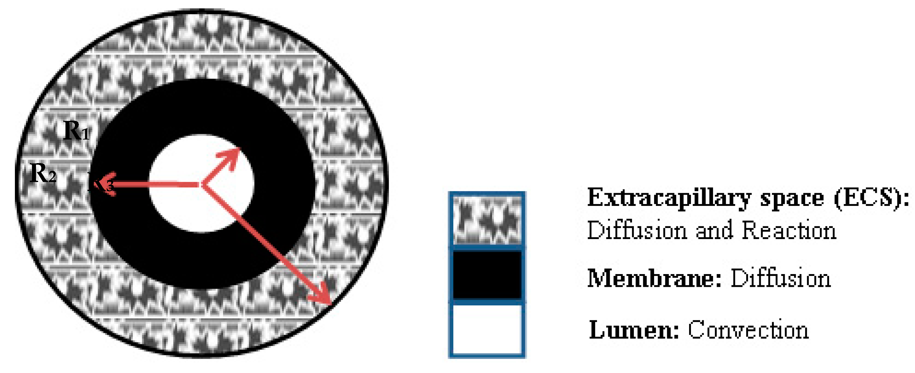 Membranes 11 00257 g003