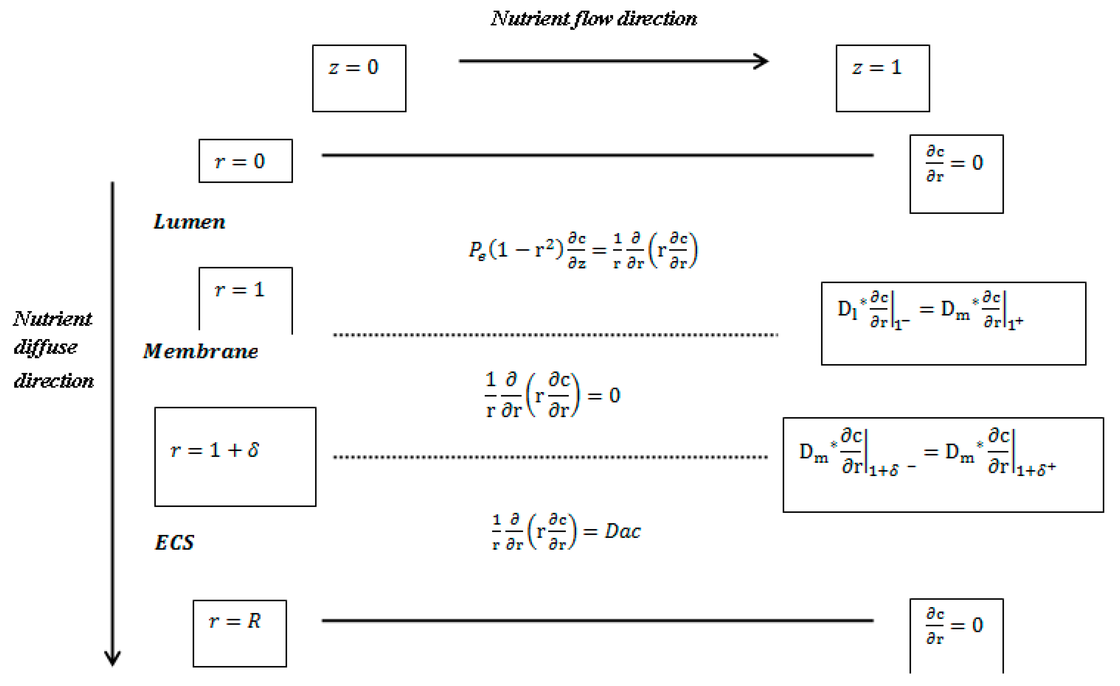 Membranes 11 00257 g004
