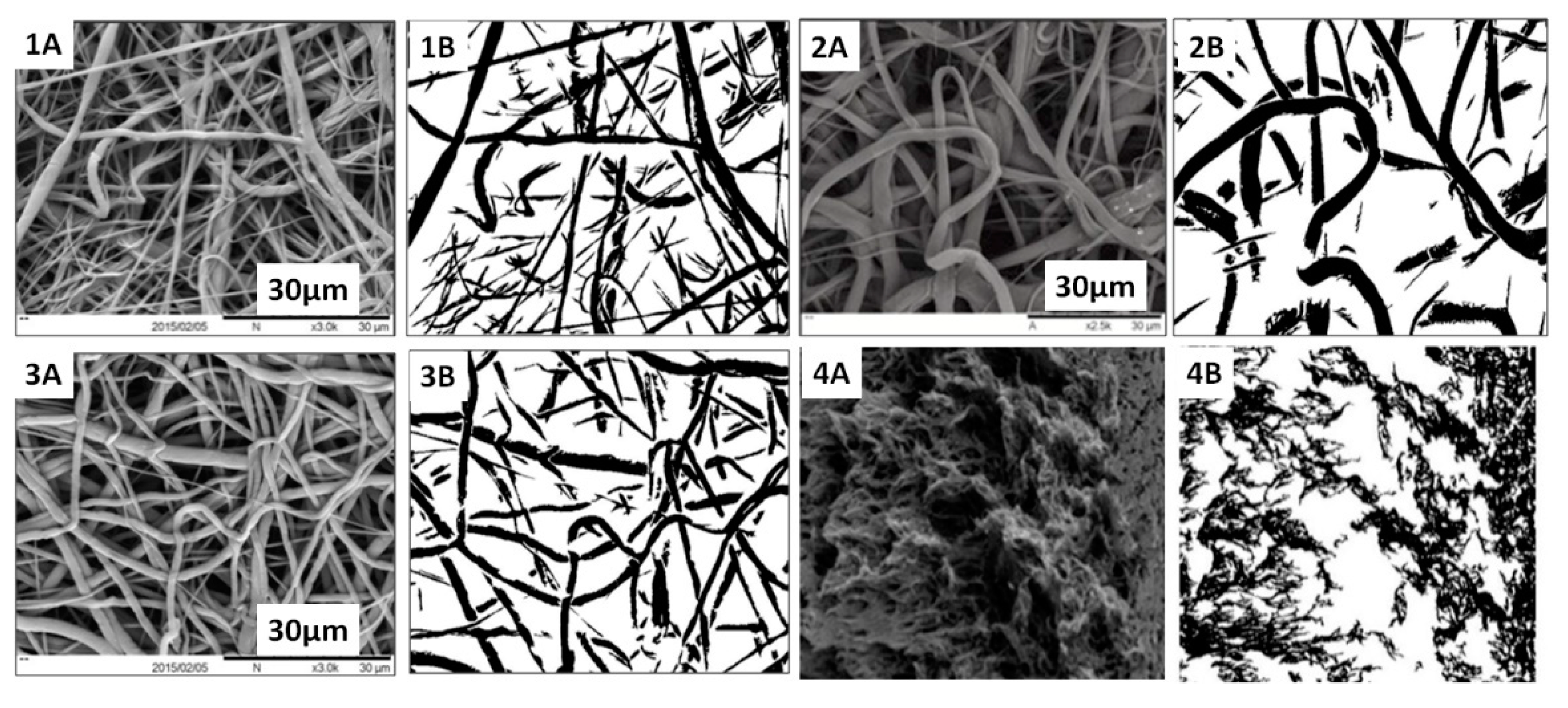 Membranes 11 00257 g008