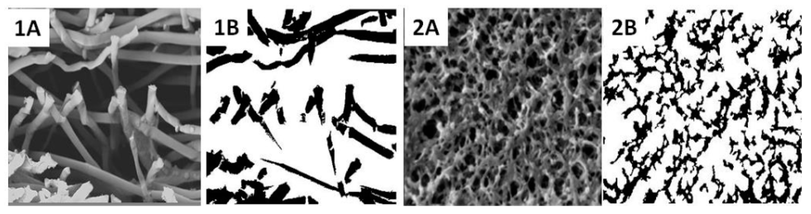 Membranes 11 00257 g009