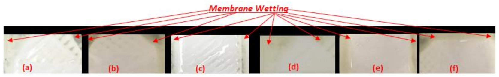 Membranes 11 00262 g0a1