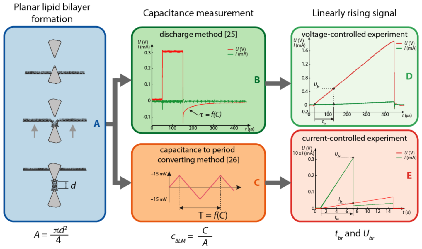 Membranes 11 00263 g001 Membranes 11 00263 g001