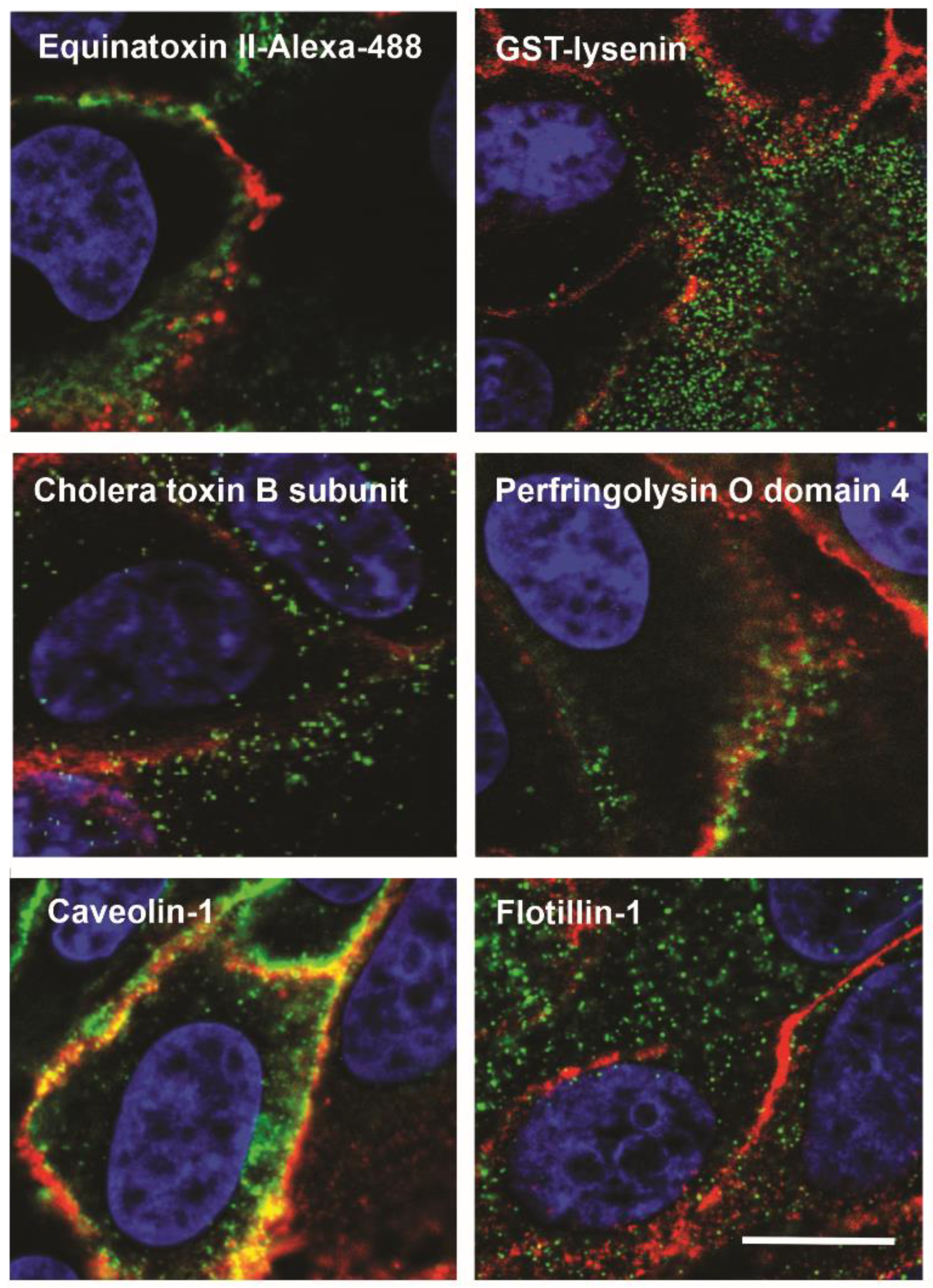 Membranes 11 00264 g002