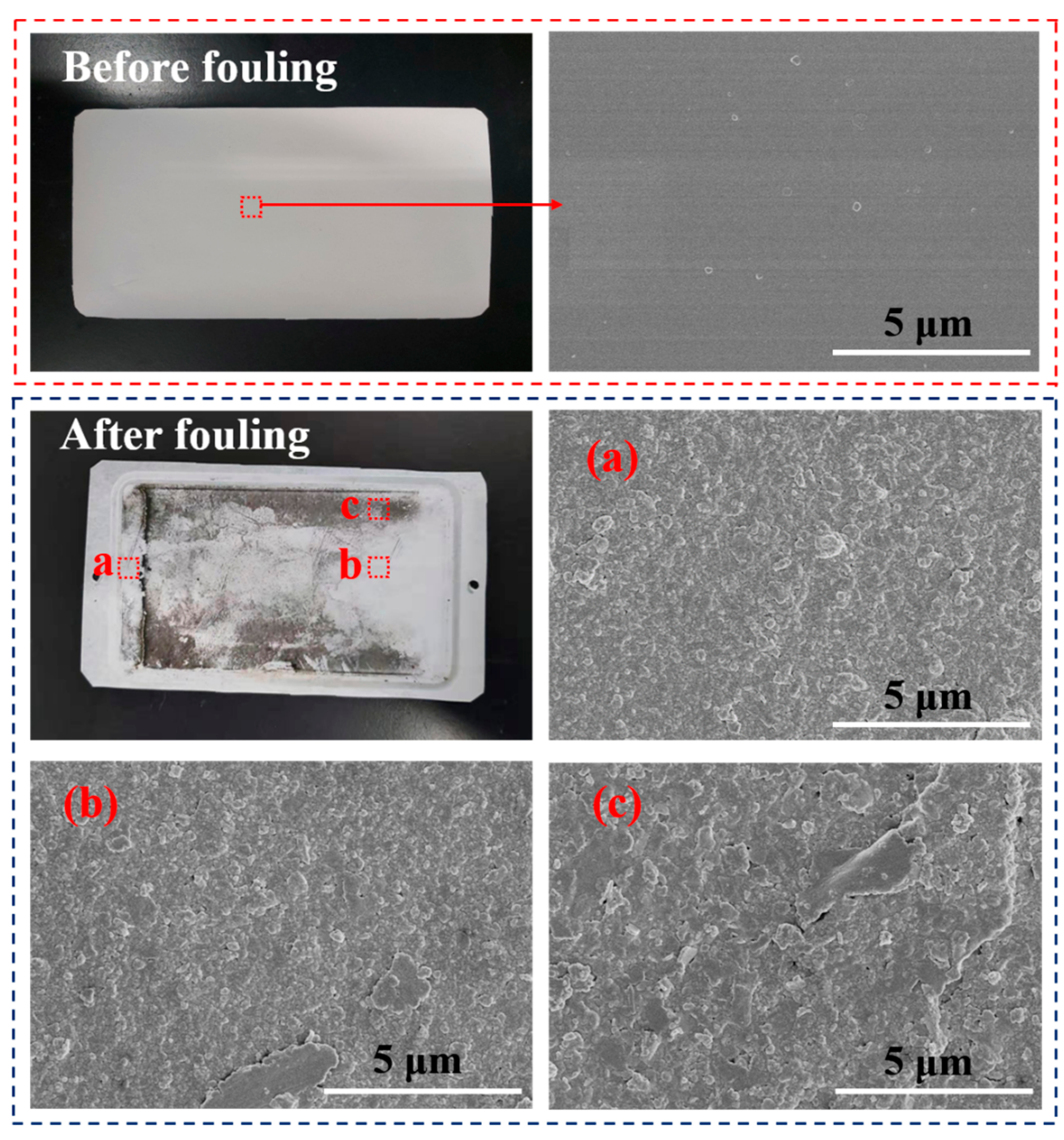Membranes 11 00268 g006 Membranes 11 00268 g006