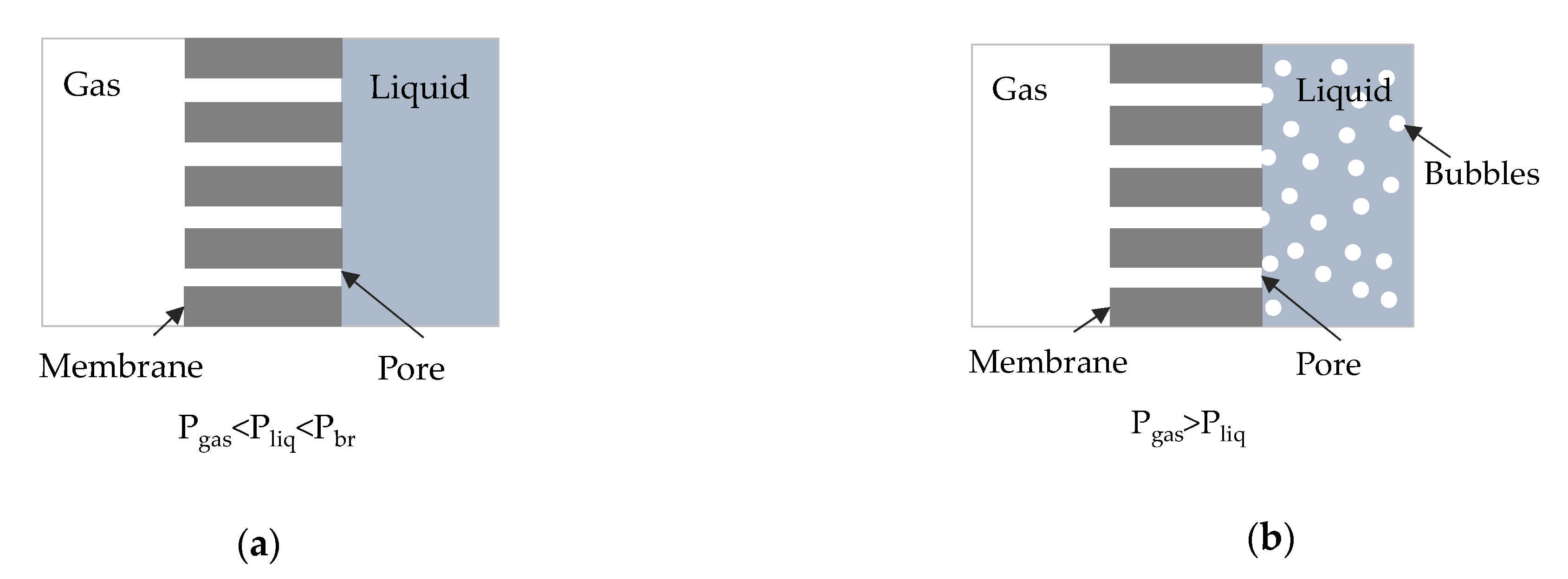 Membranes 11 00271 g001 Membranes 11 00271 g001