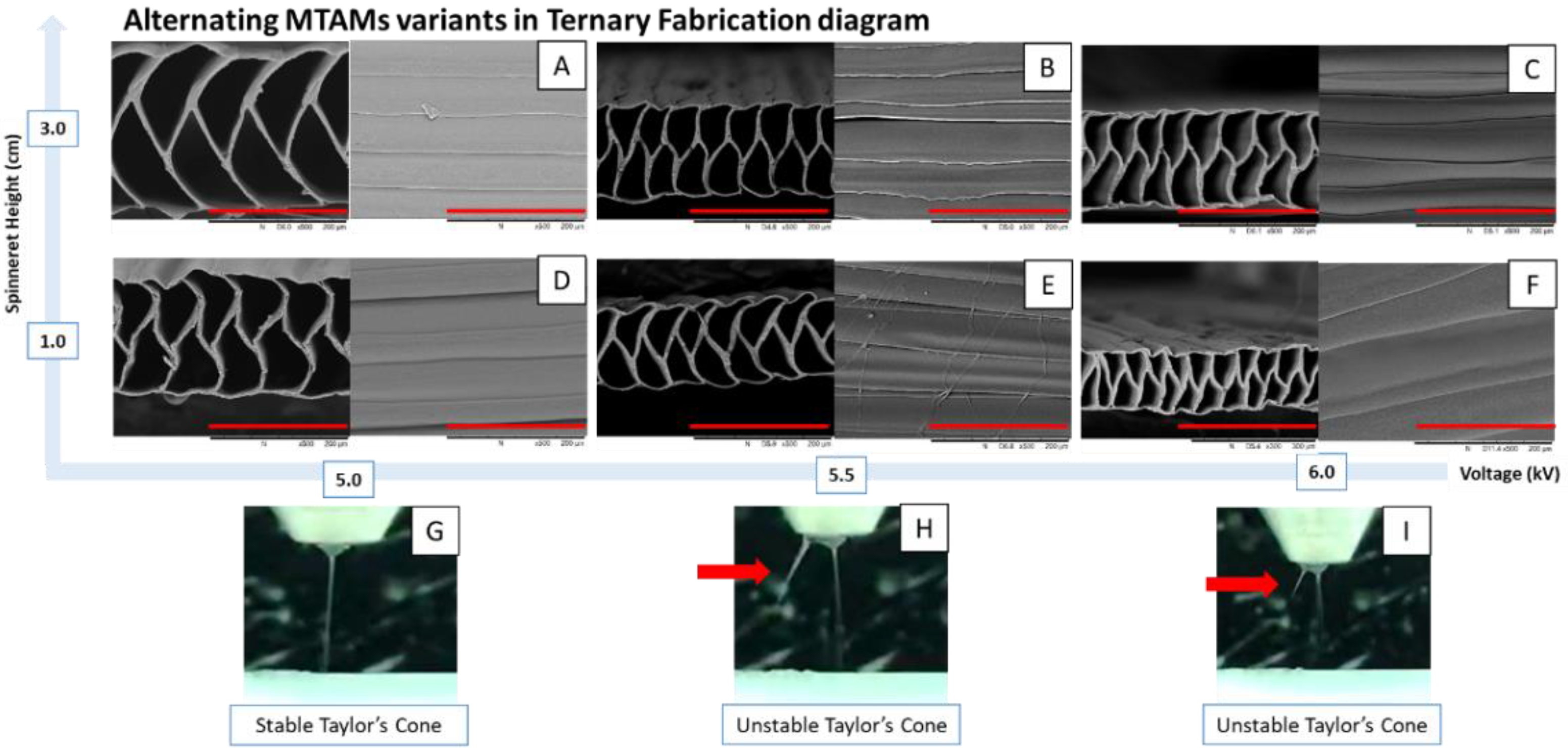 Membranes 11 00273 g004 Membranes 11 00273 g004
