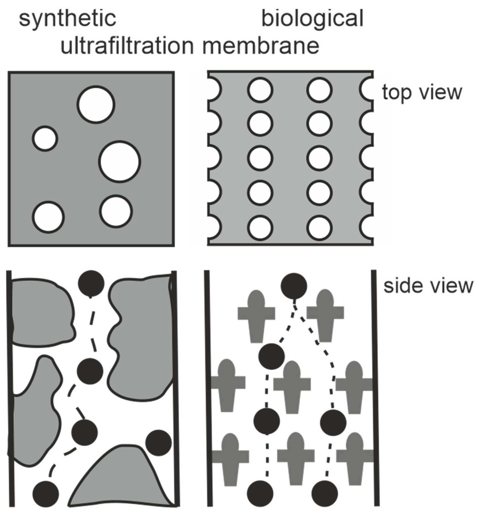 Membranes 11 00275 g002 Membranes 11 00275 g002