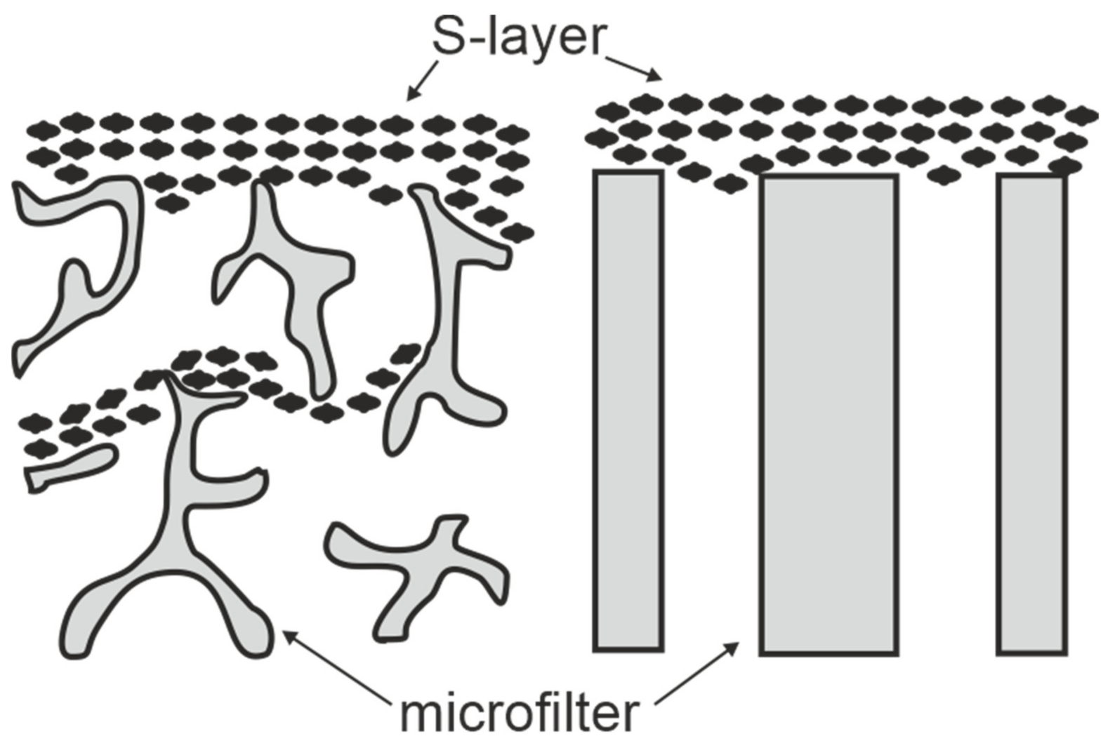 Membranes 11 00275 g003 Membranes 11 00275 g003
