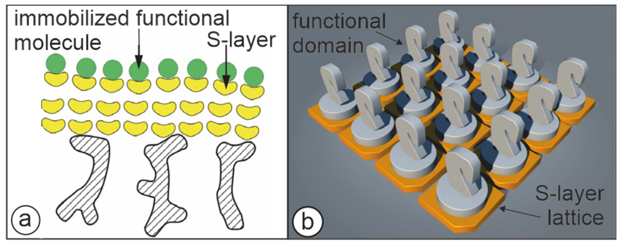 Membranes 11 00275 g005 Membranes 11 00275 g005