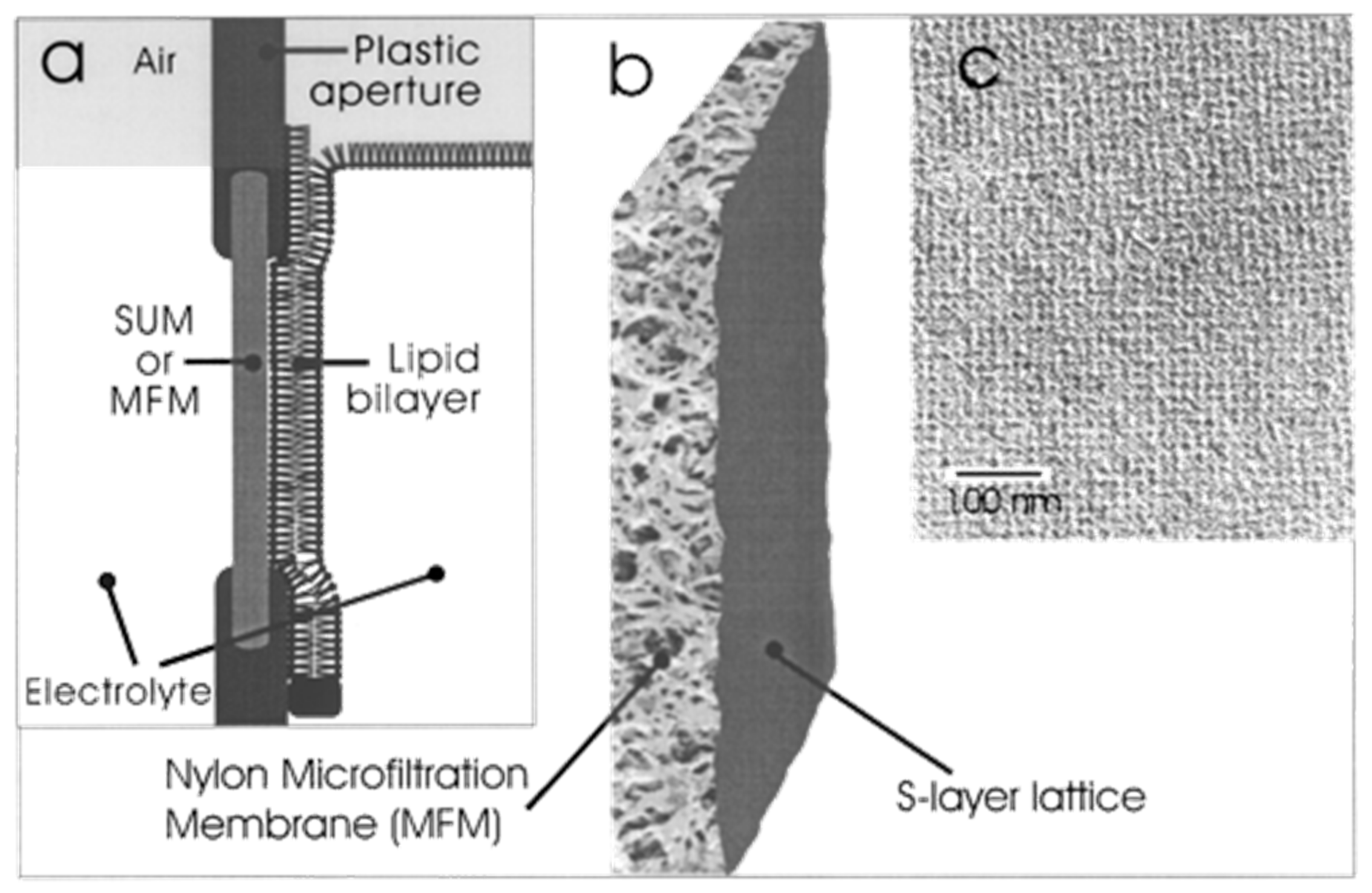 Membranes 11 00275 g007 Membranes 11 00275 g007