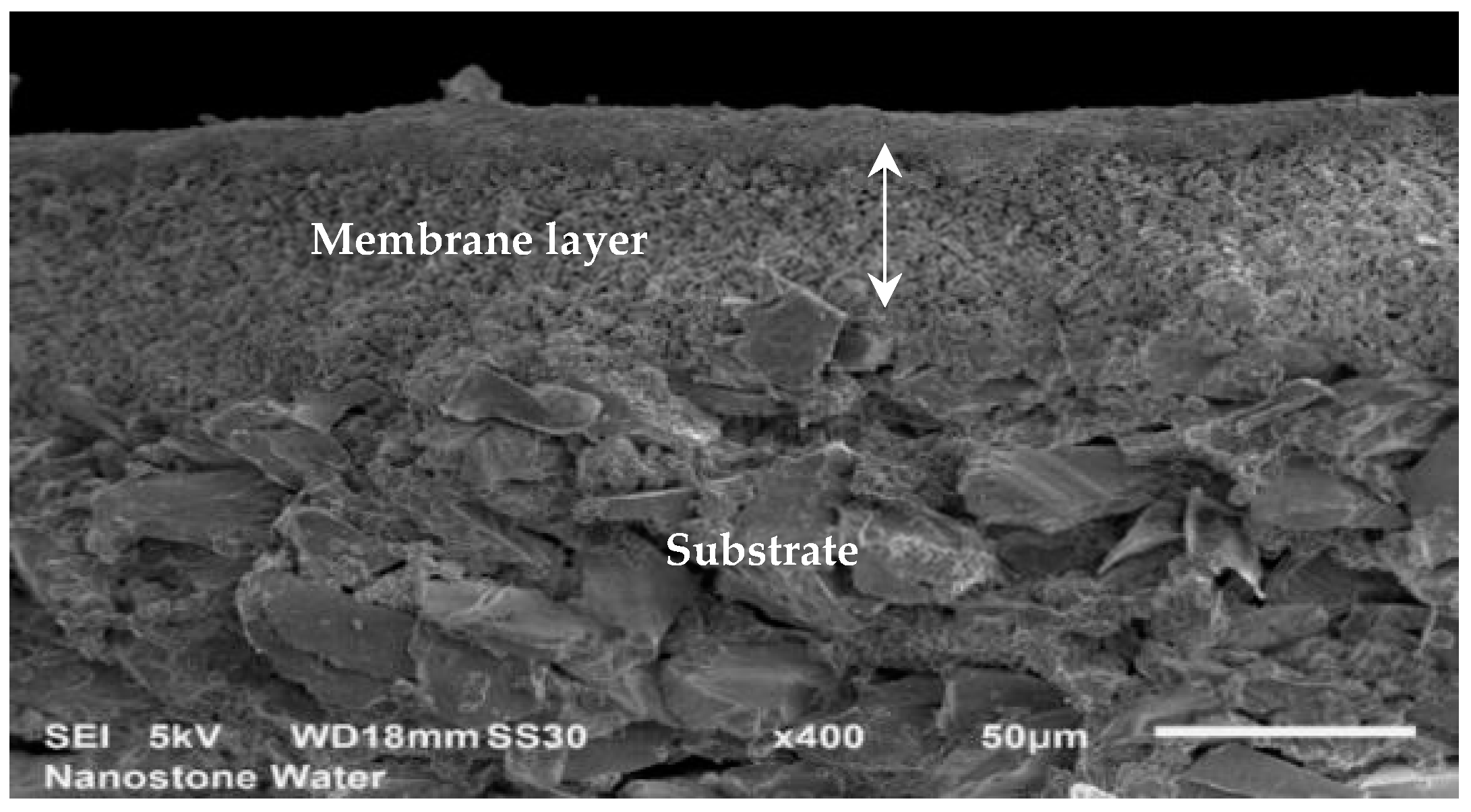 Membranes 11 00280 g001