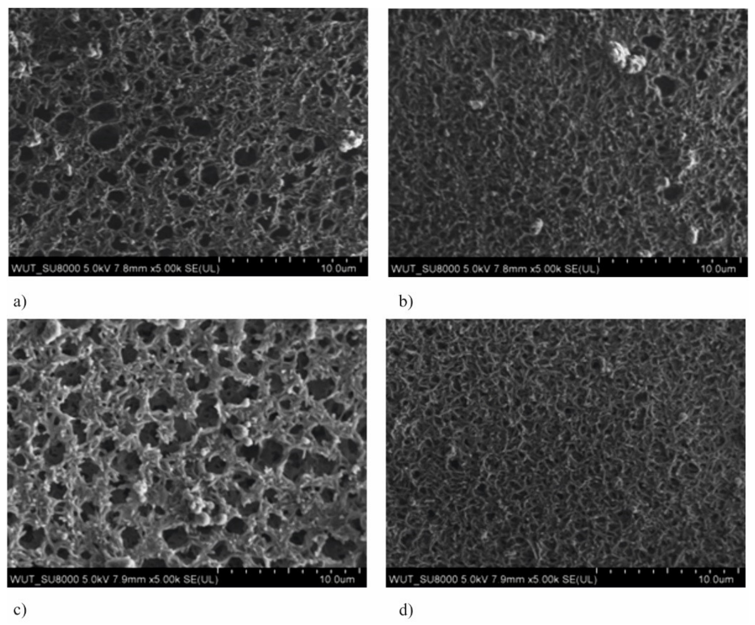 Membranes 11 00290 g001 Membranes 11 00290 g001