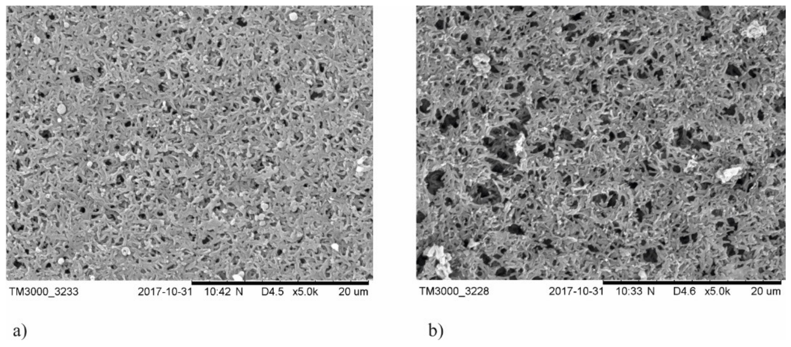 Membranes 11 00290 g002 Membranes 11 00290 g002