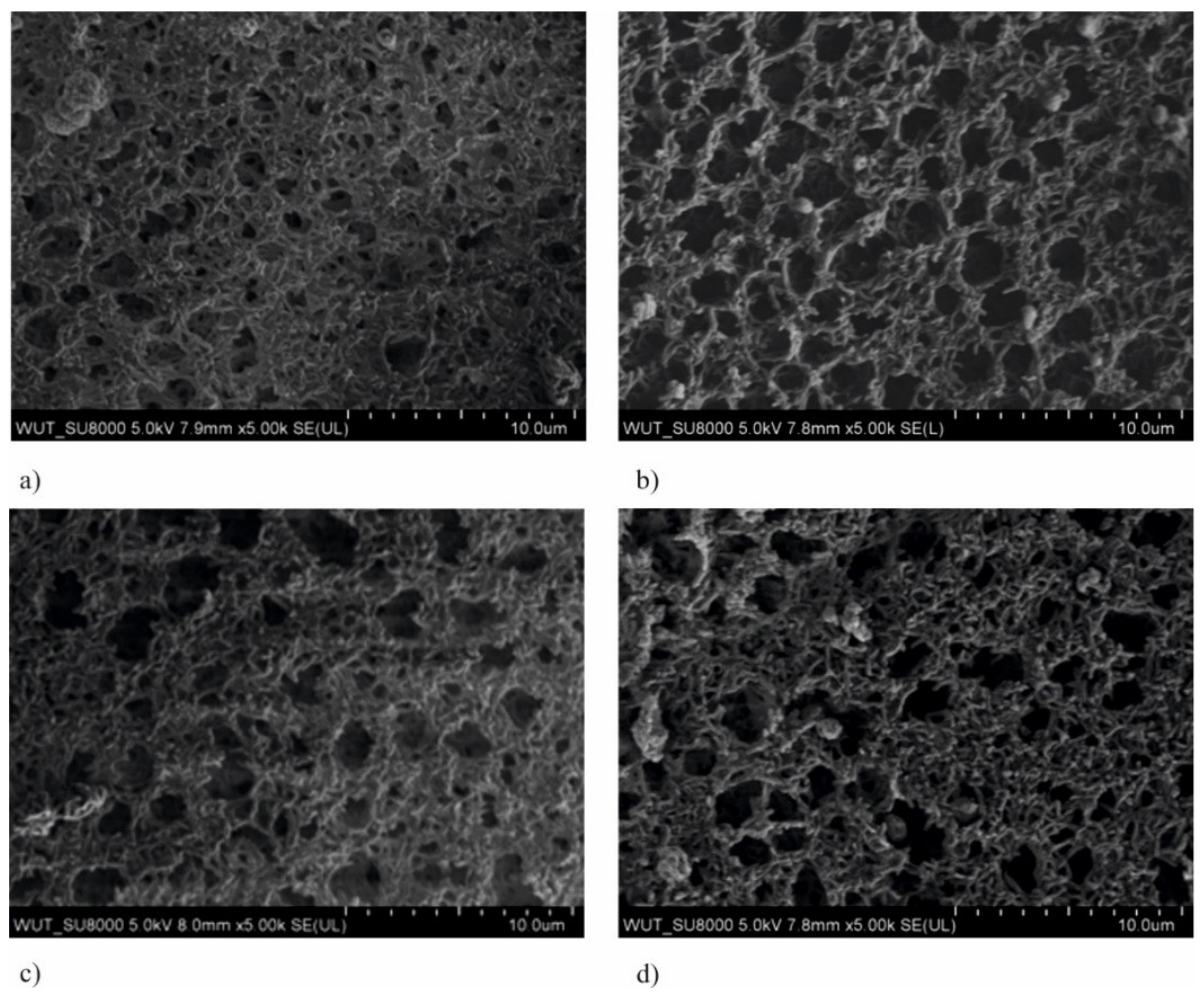 Membranes 11 00290 g003 Membranes 11 00290 g003