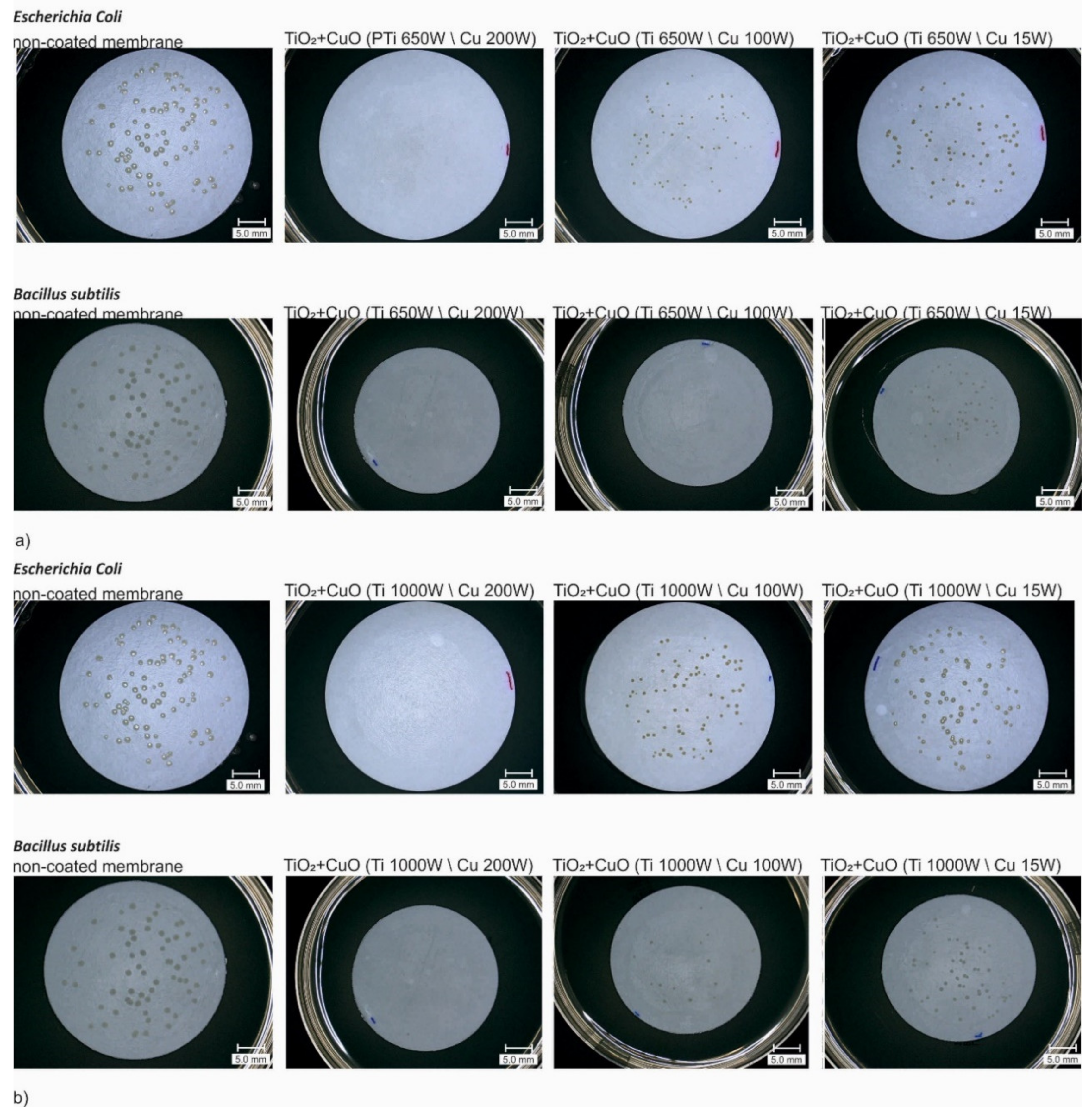Membranes 11 00290 g005 Membranes 11 00290 g005