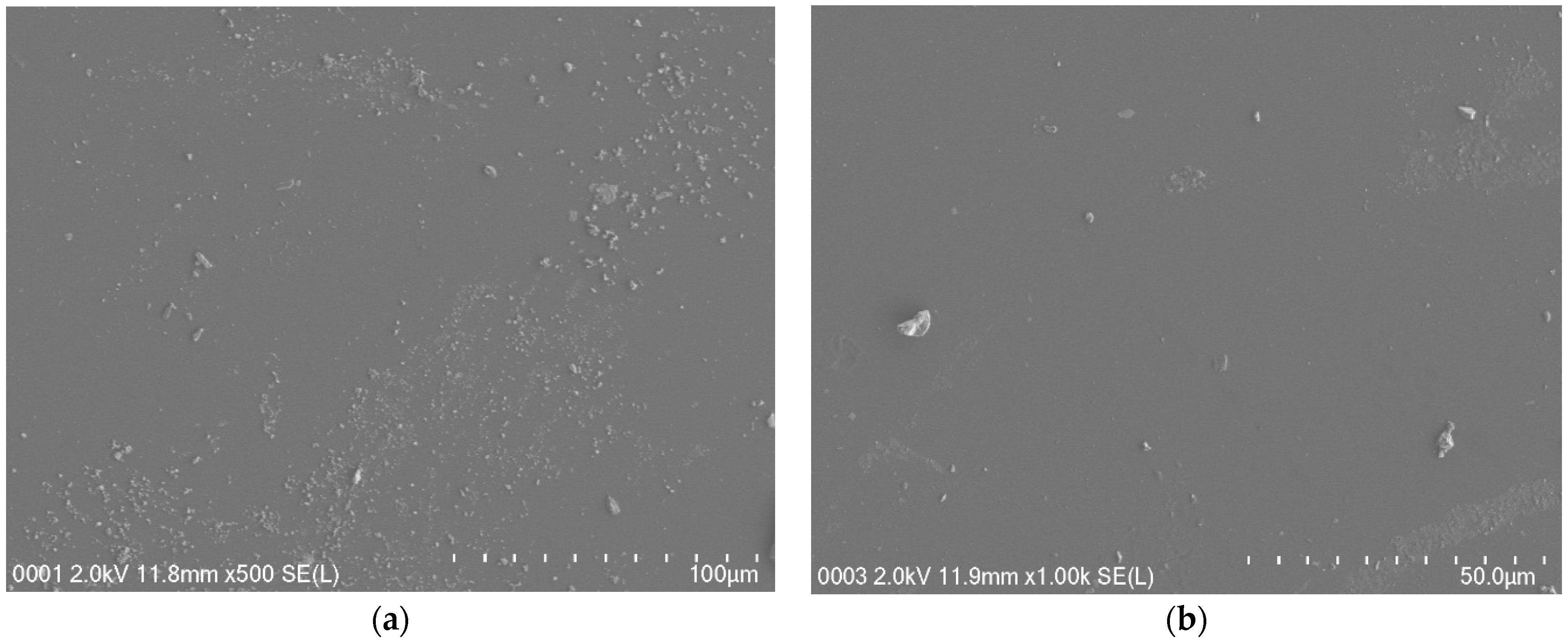 Membranes 11 00296 g004 Membranes 11 00296 g004