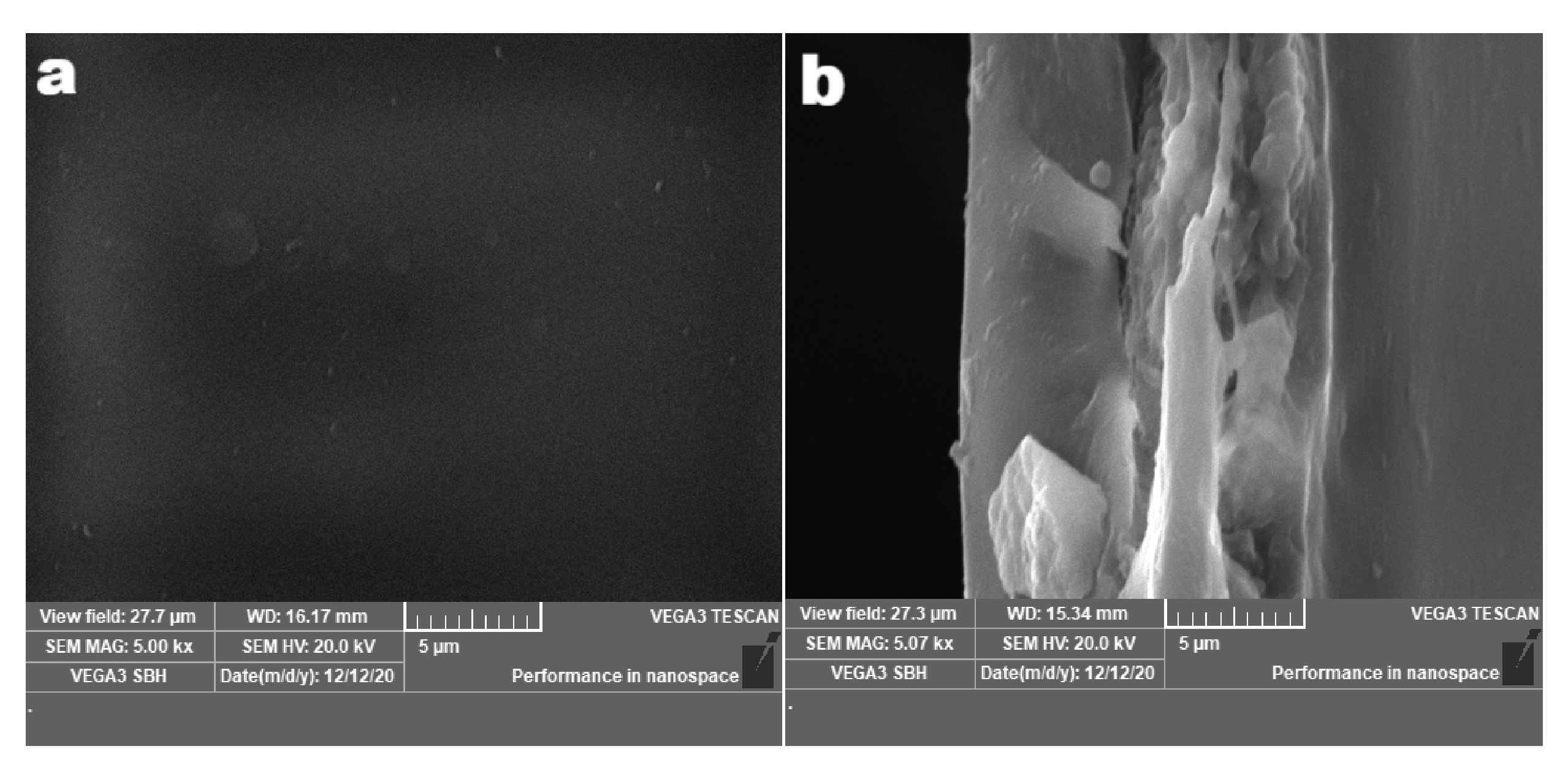 Membranes 11 00298 g001 Membranes 11 00298 g001
