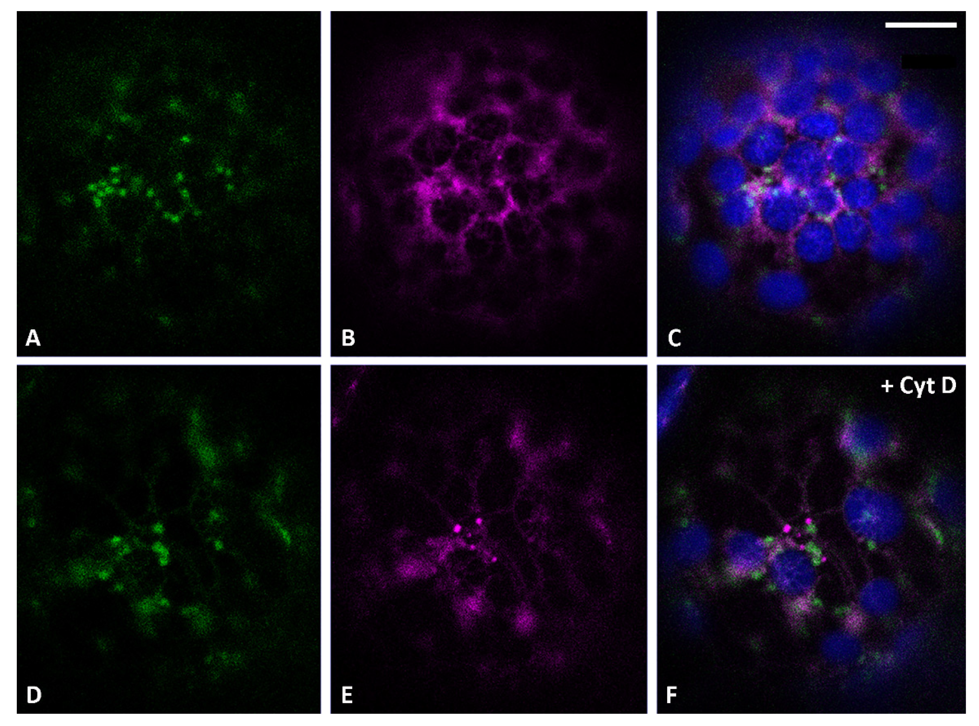 Membranes 11 00299 g001 Membranes 11 00299 g001