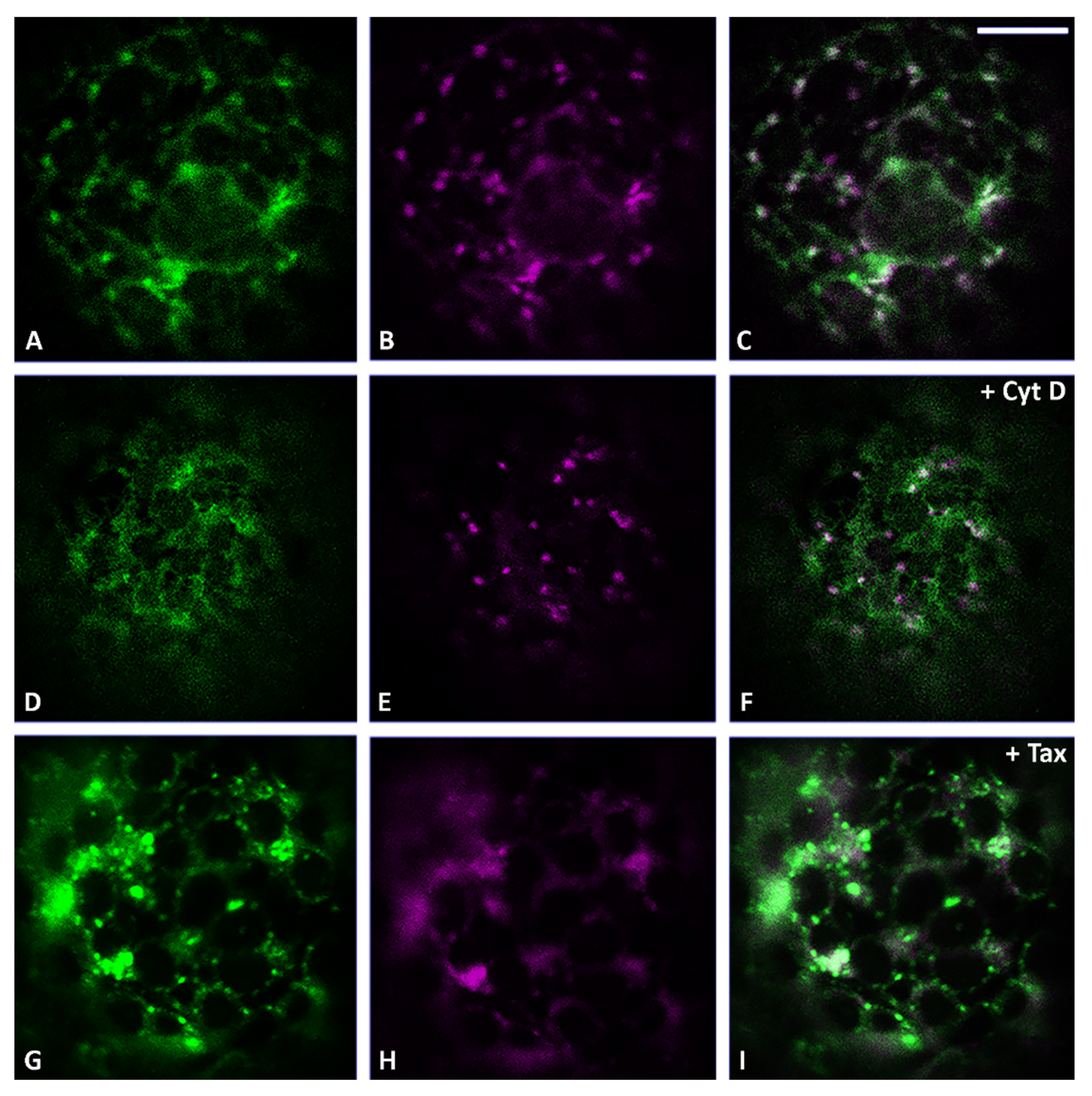 Membranes 11 00299 g002 Membranes 11 00299 g002