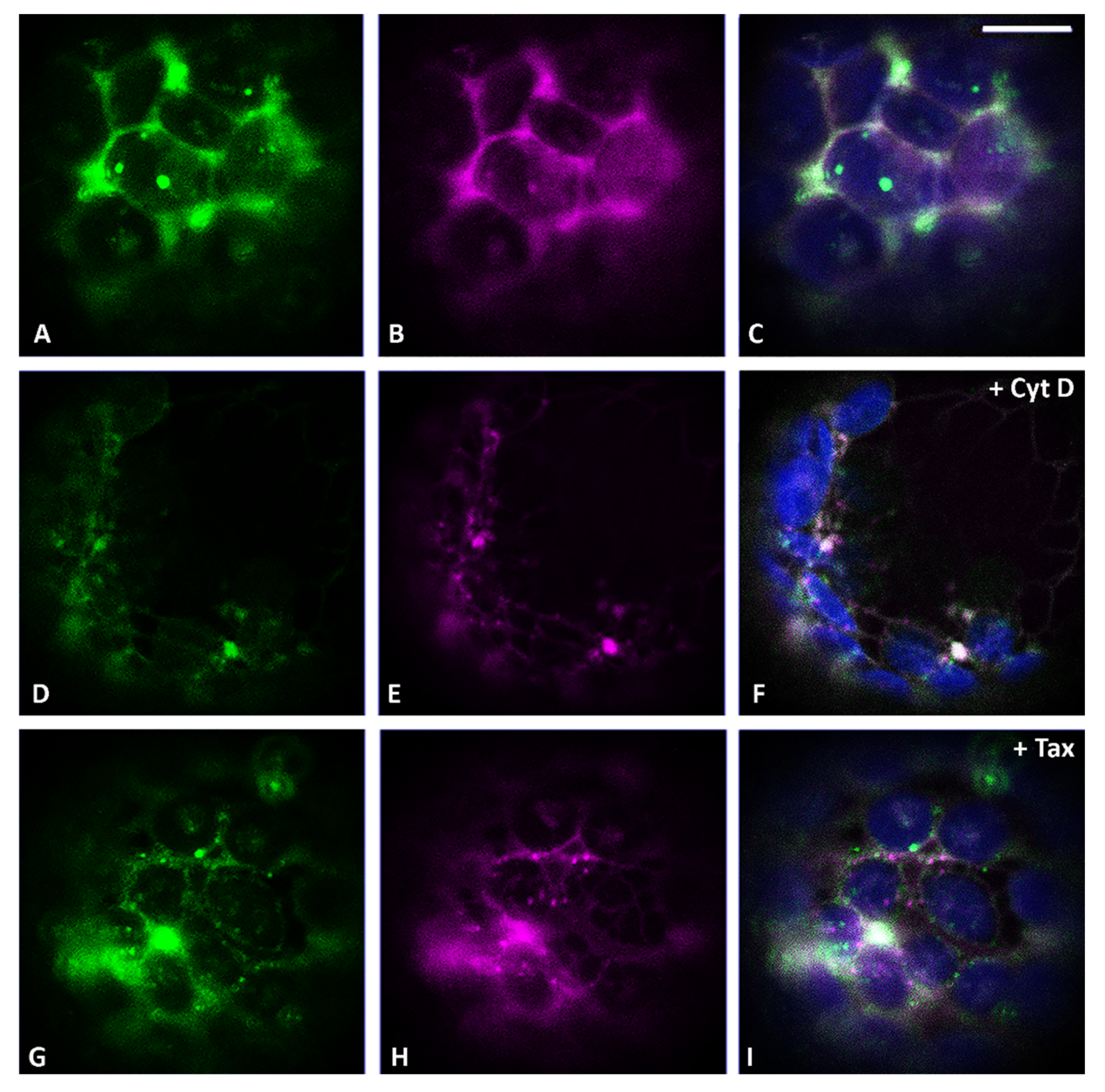 Membranes 11 00299 g003 Membranes 11 00299 g003
