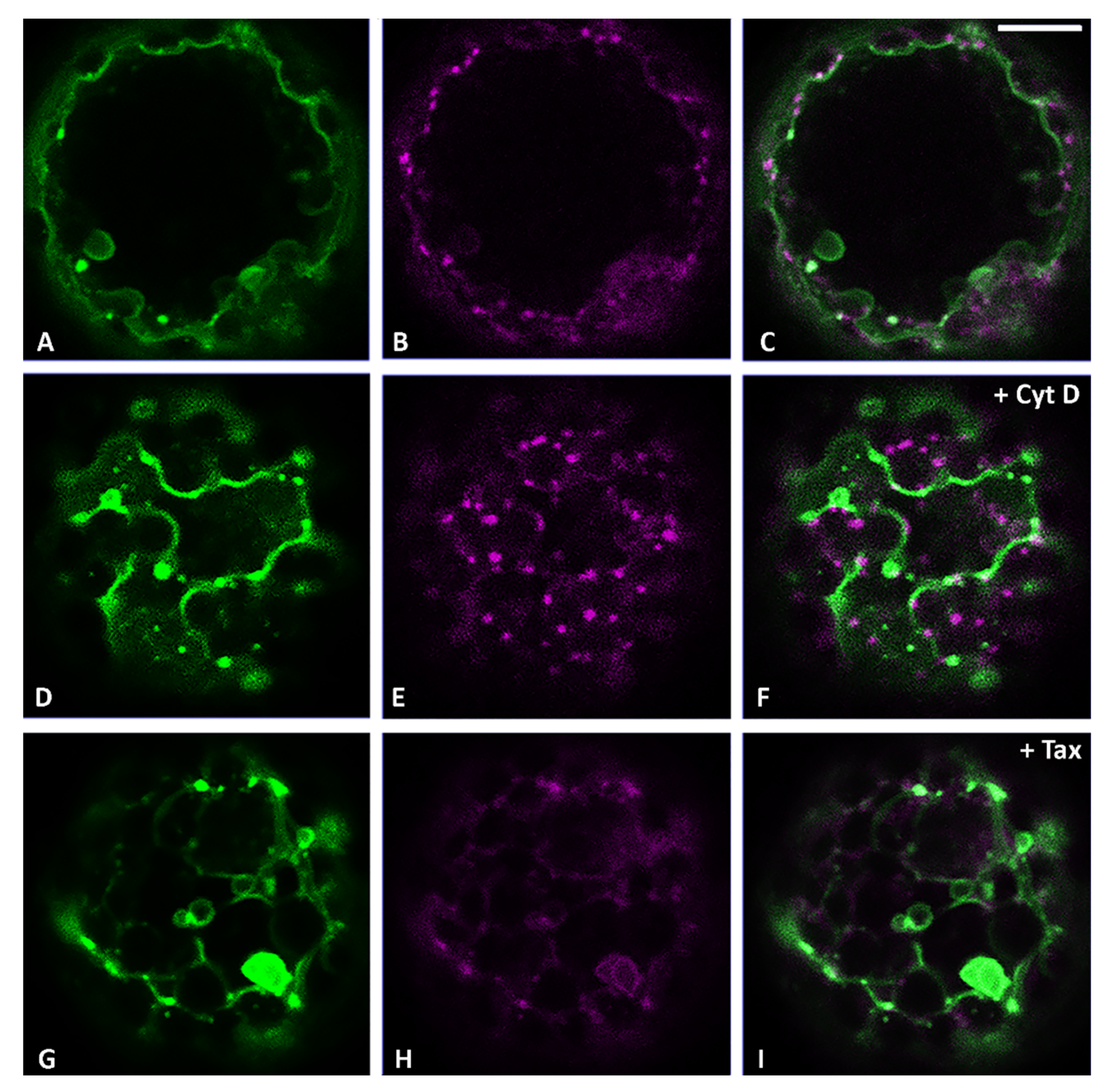 Membranes 11 00299 g007 Membranes 11 00299 g007