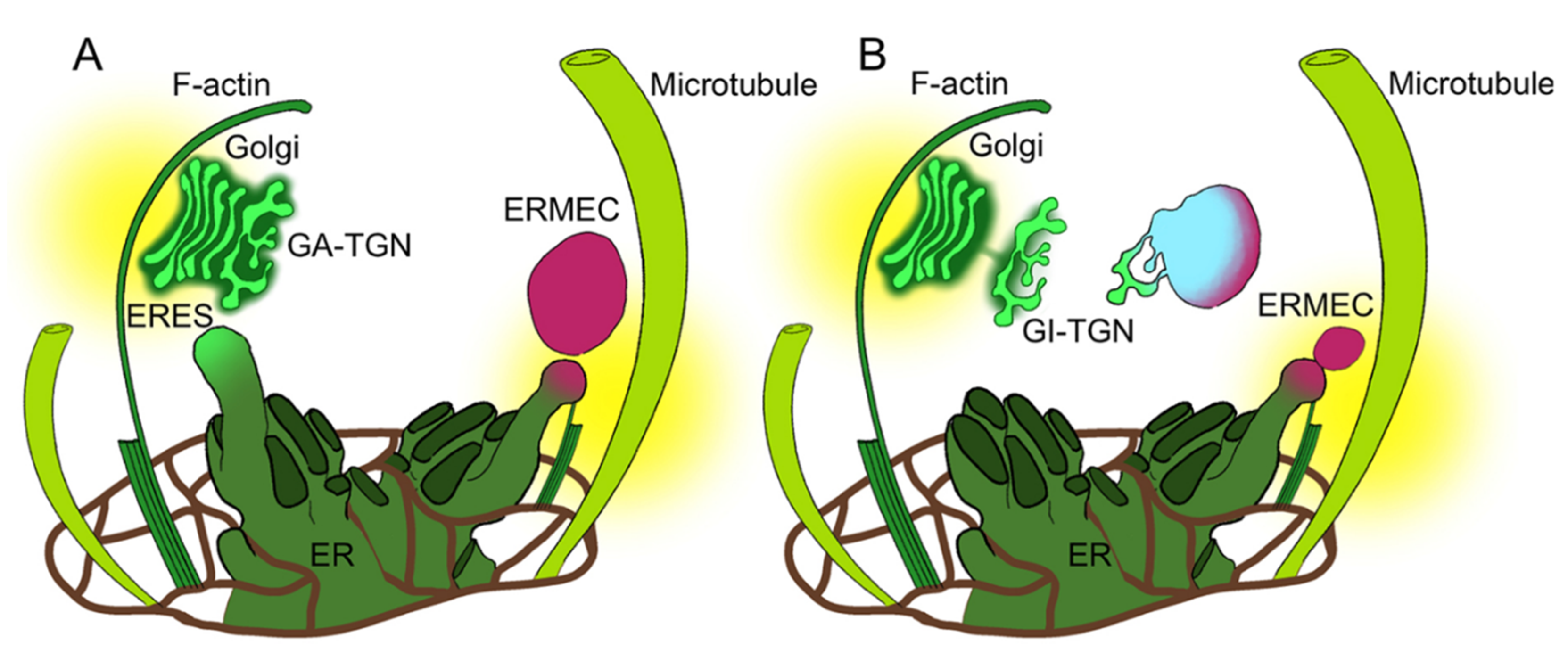Membranes 11 00299 g008 Membranes 11 00299 g008
