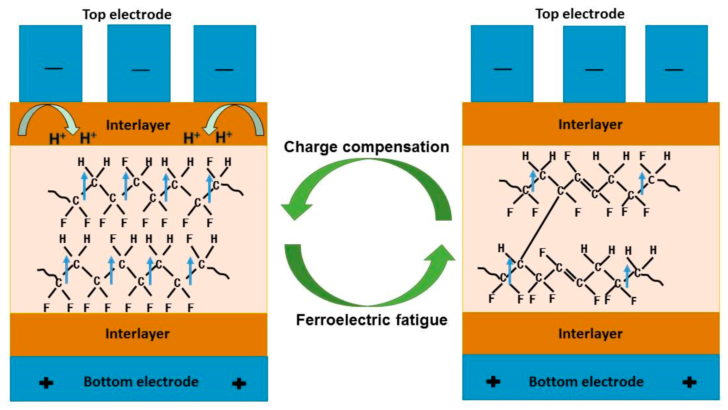 Membranes 11 00301 g005 Membranes 11 00301 g005