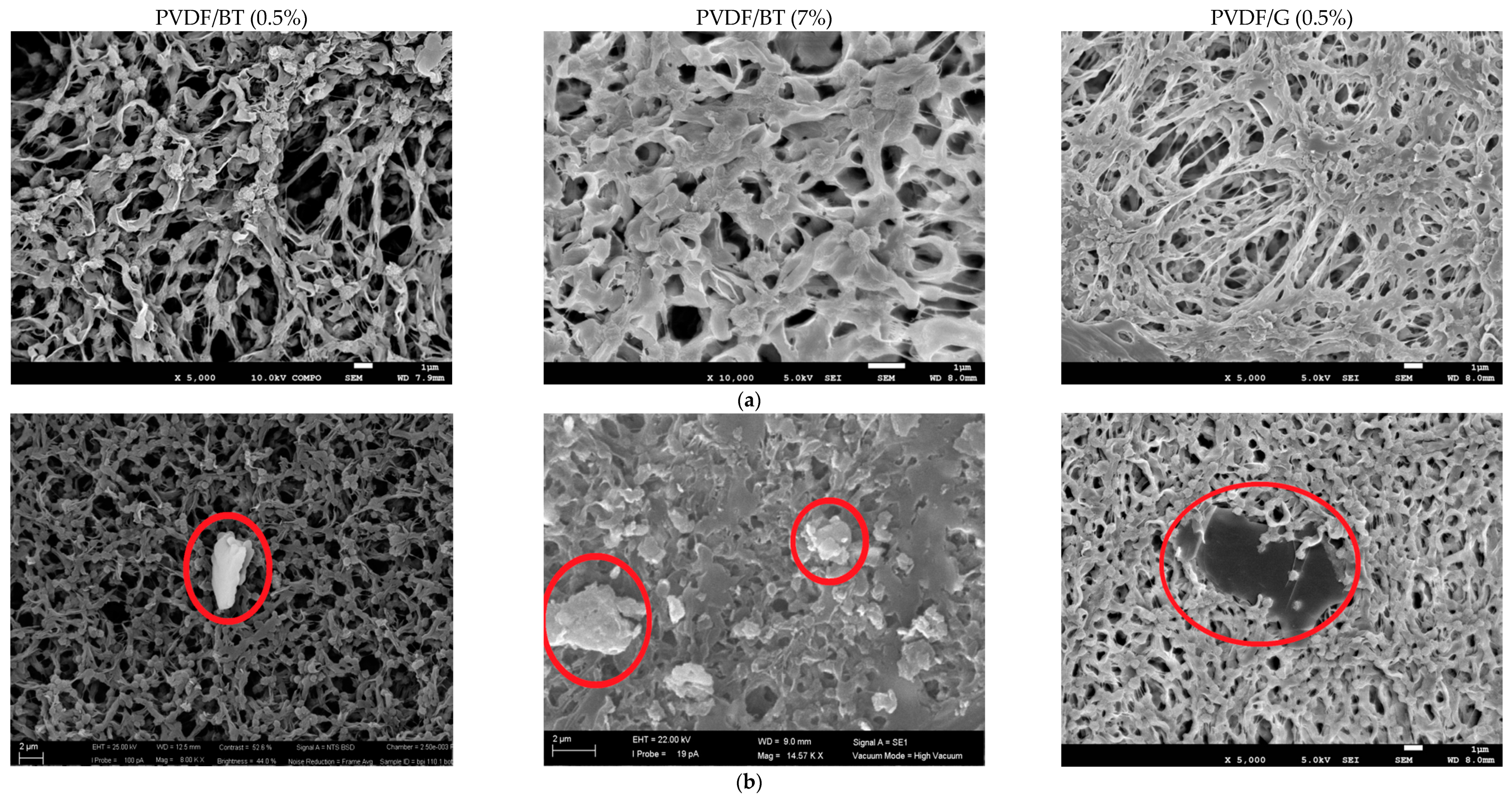Membranes 11 00302 g001 Membranes 11 00302 g001