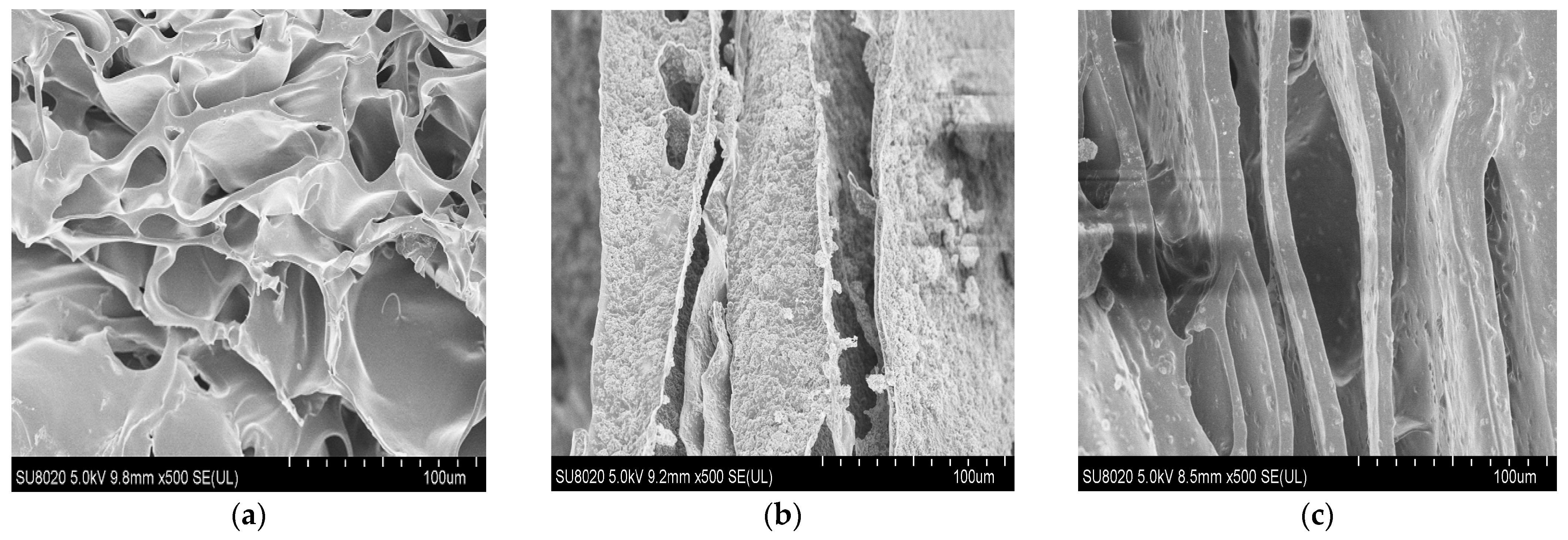 Membranes 11 00303 g001 Membranes 11 00303 g001